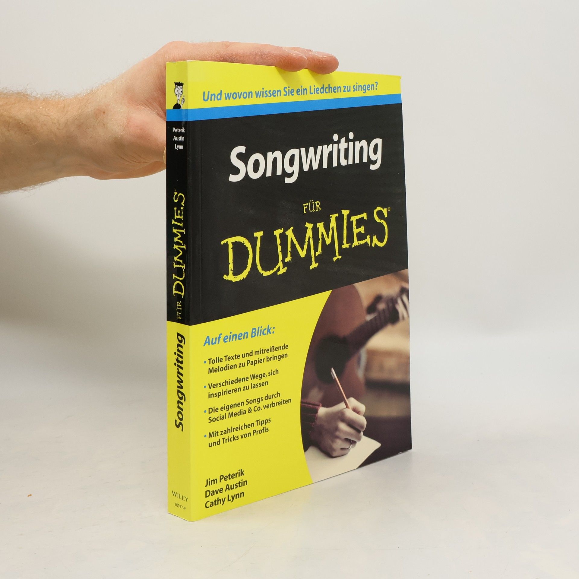 Jim Peterik Songwriting für Dummies