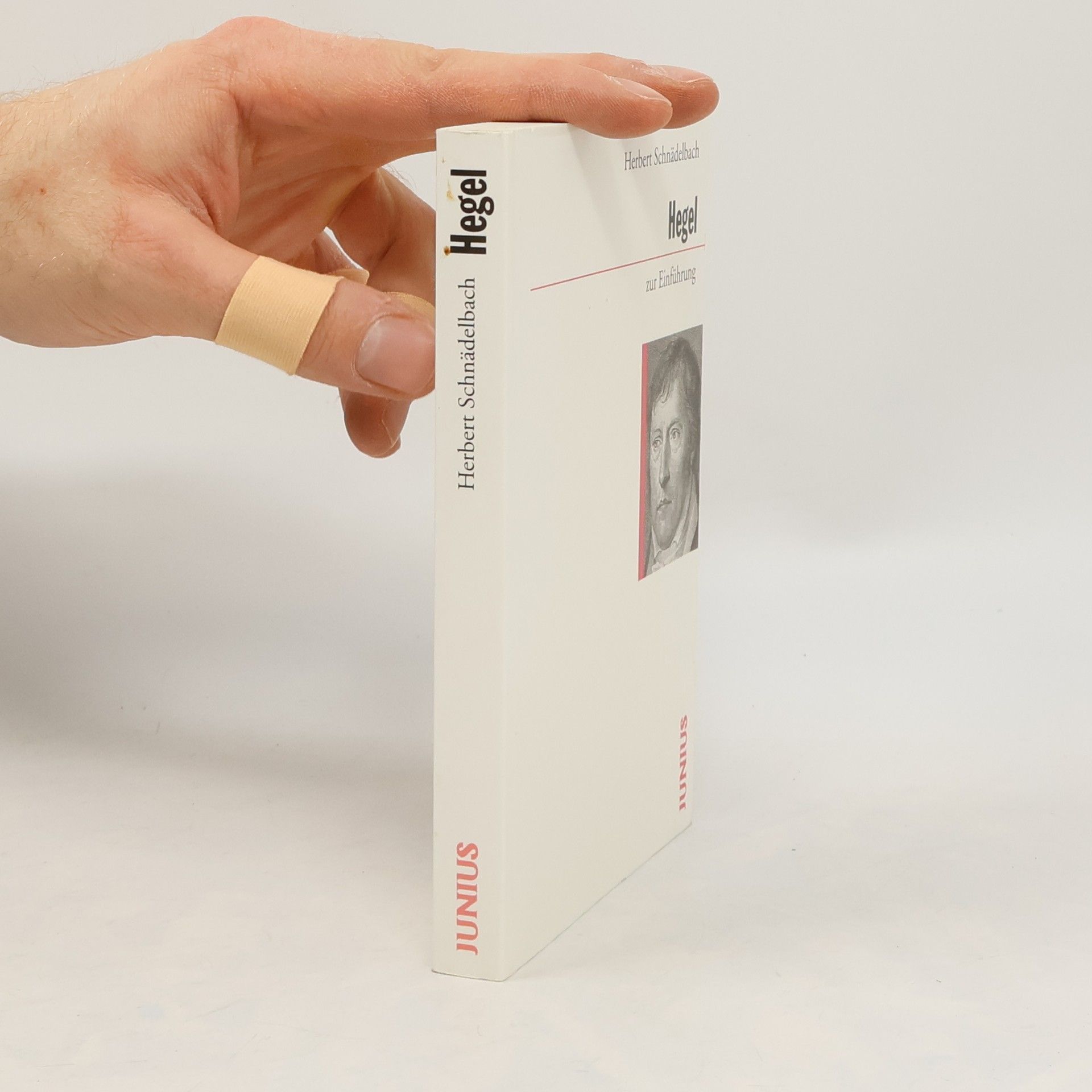 Hegel zur Einführung