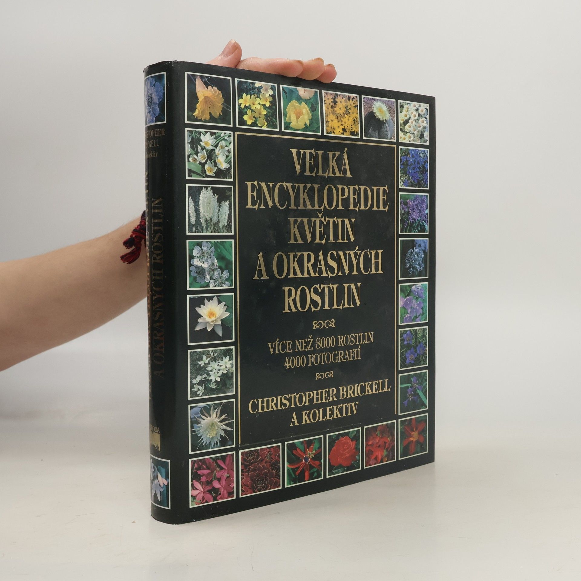 Velká encyklopedie květin a okrasných rostlin
