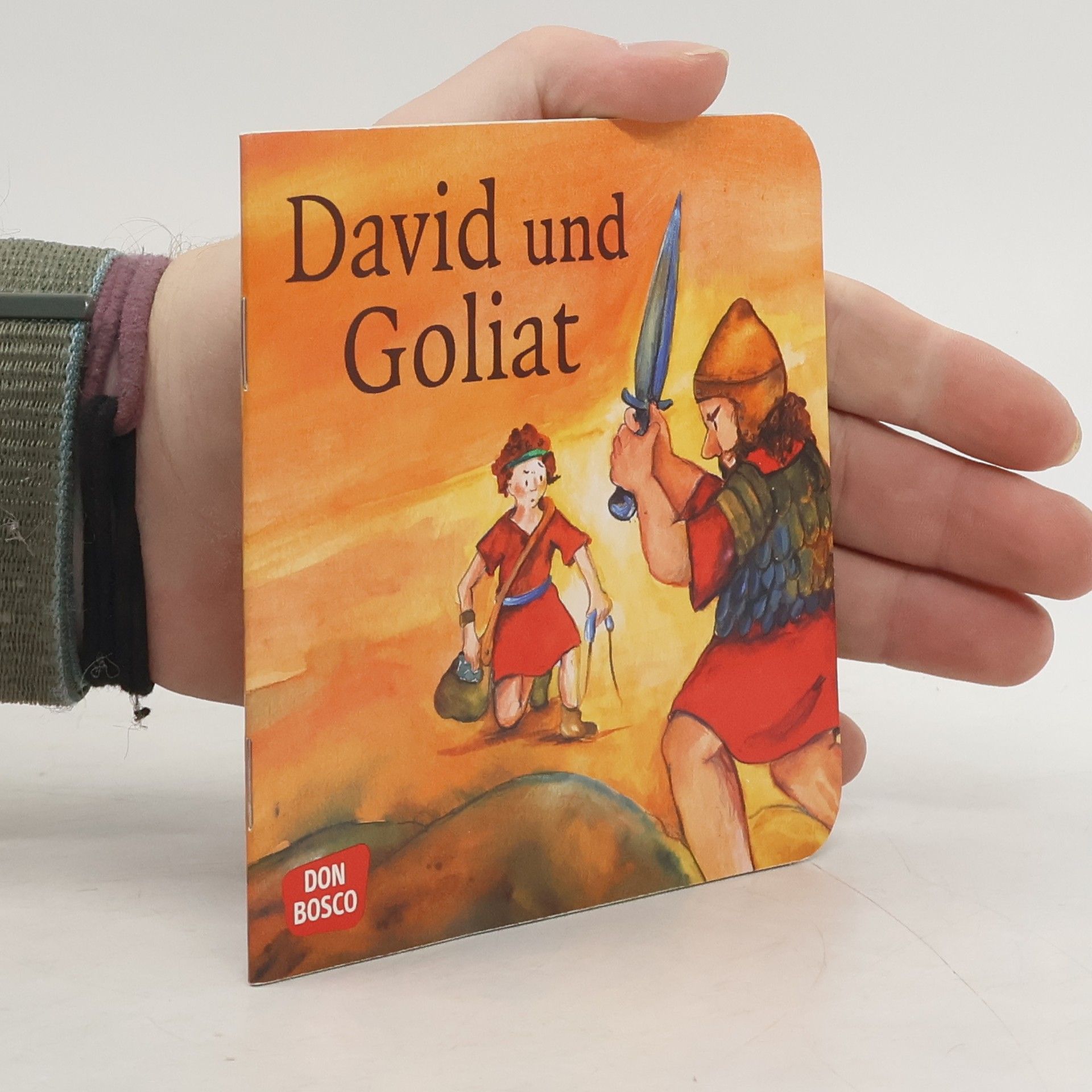 Susanne Brandt David und Goliat