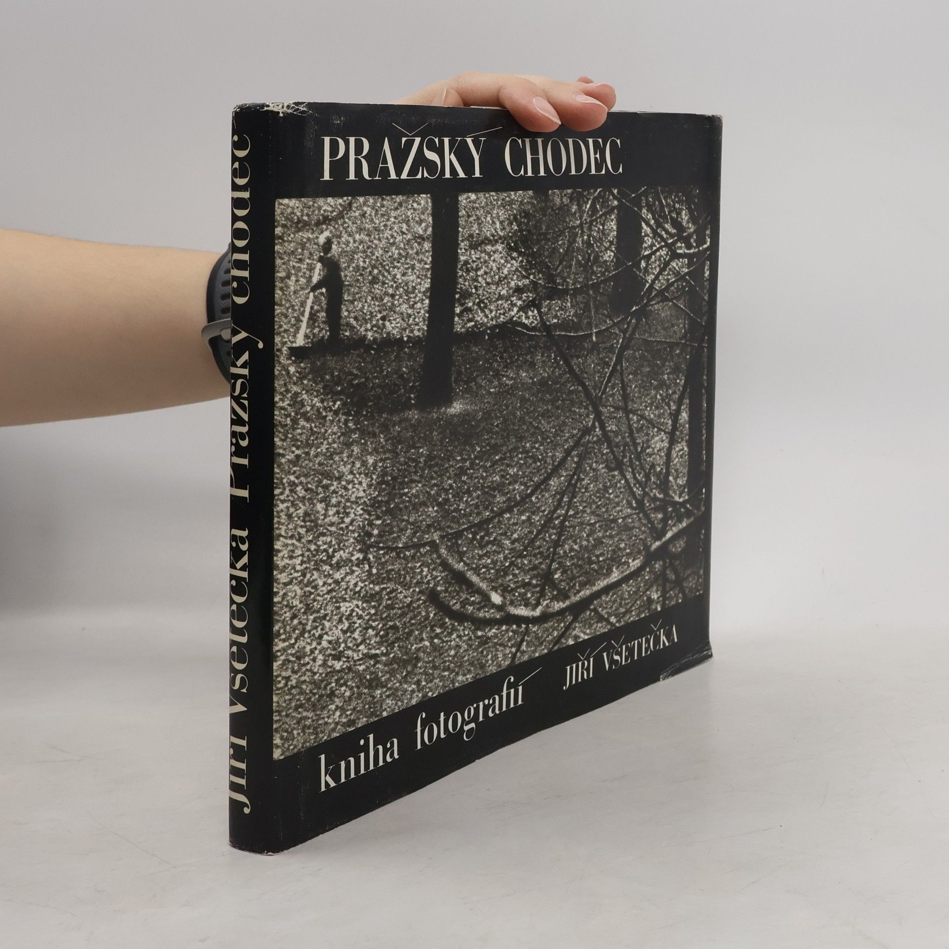 Jiří Všetečka Pražský chodec