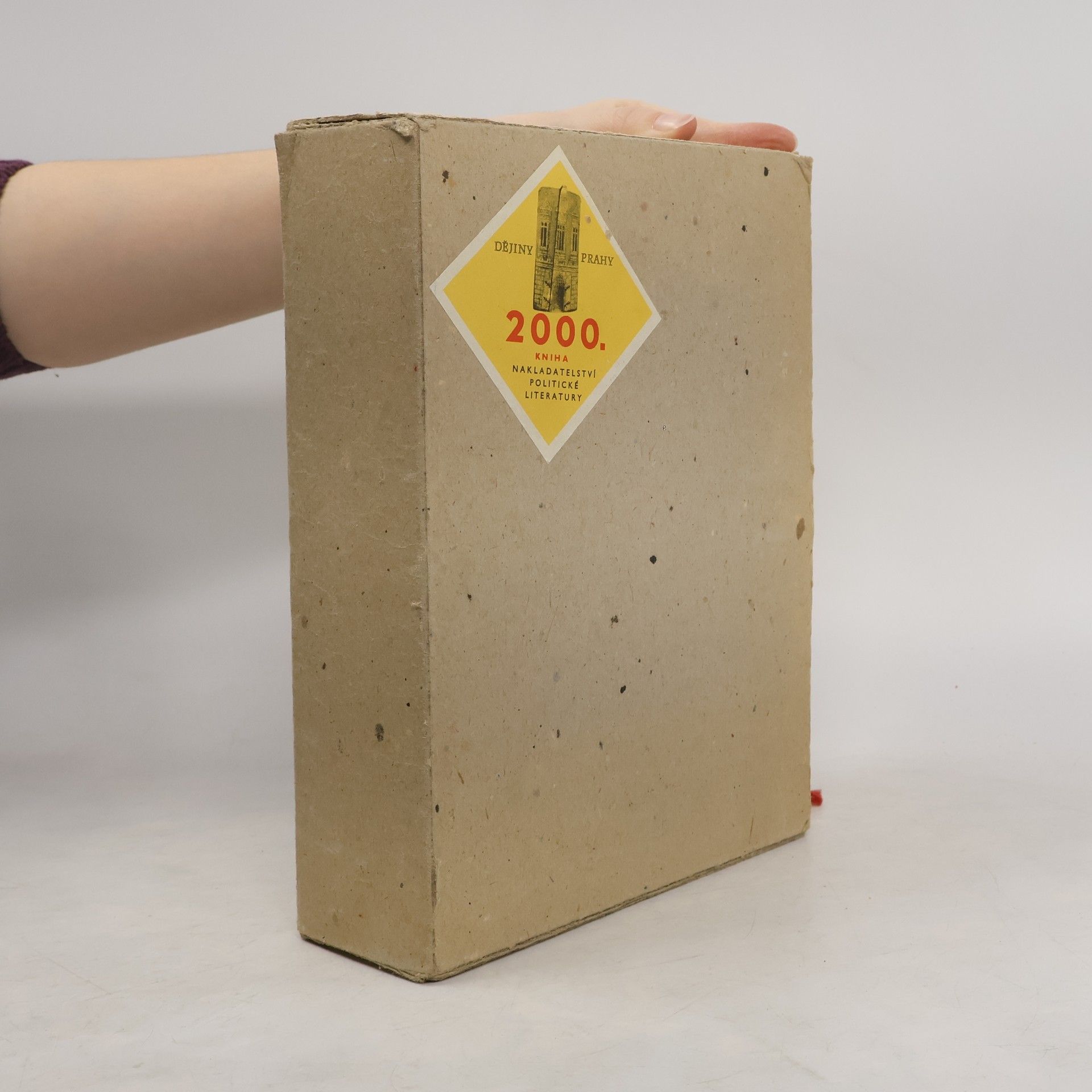AA.VV. Dějiny Prahy