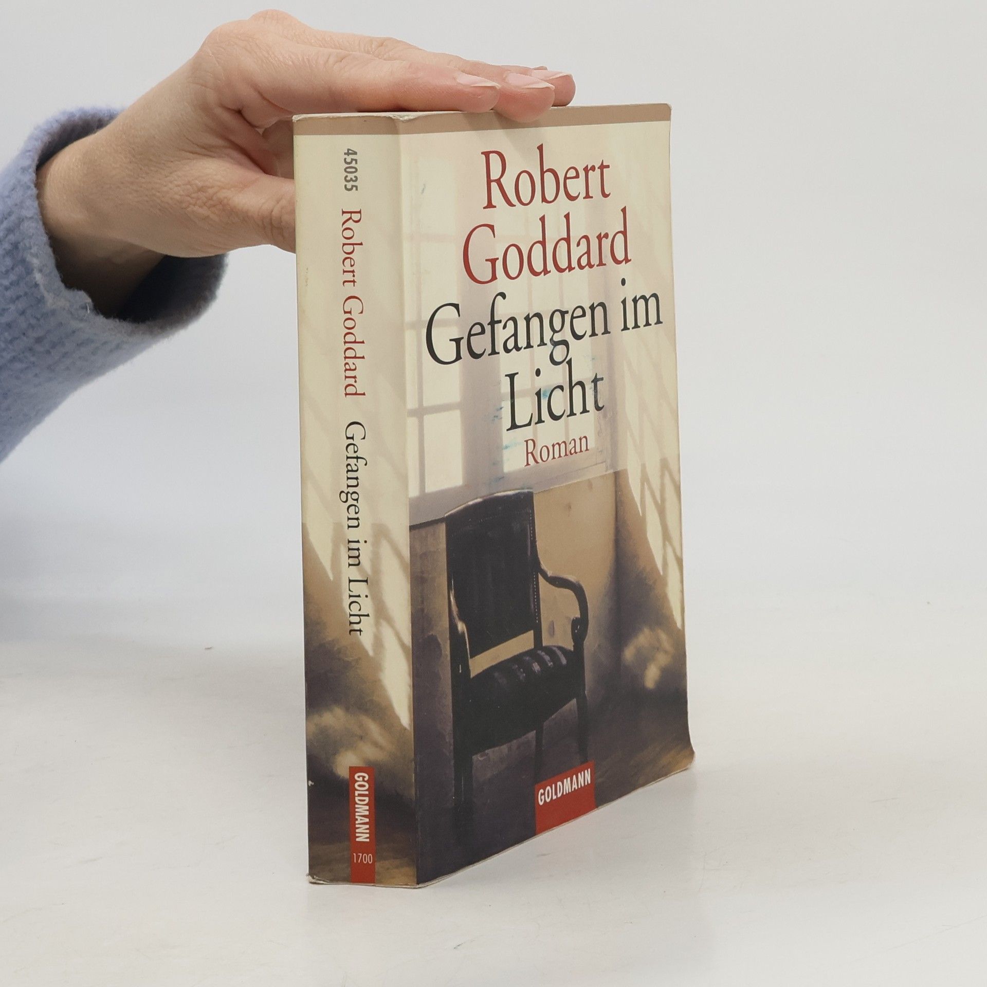 Robert Goddard Gefangen im Licht