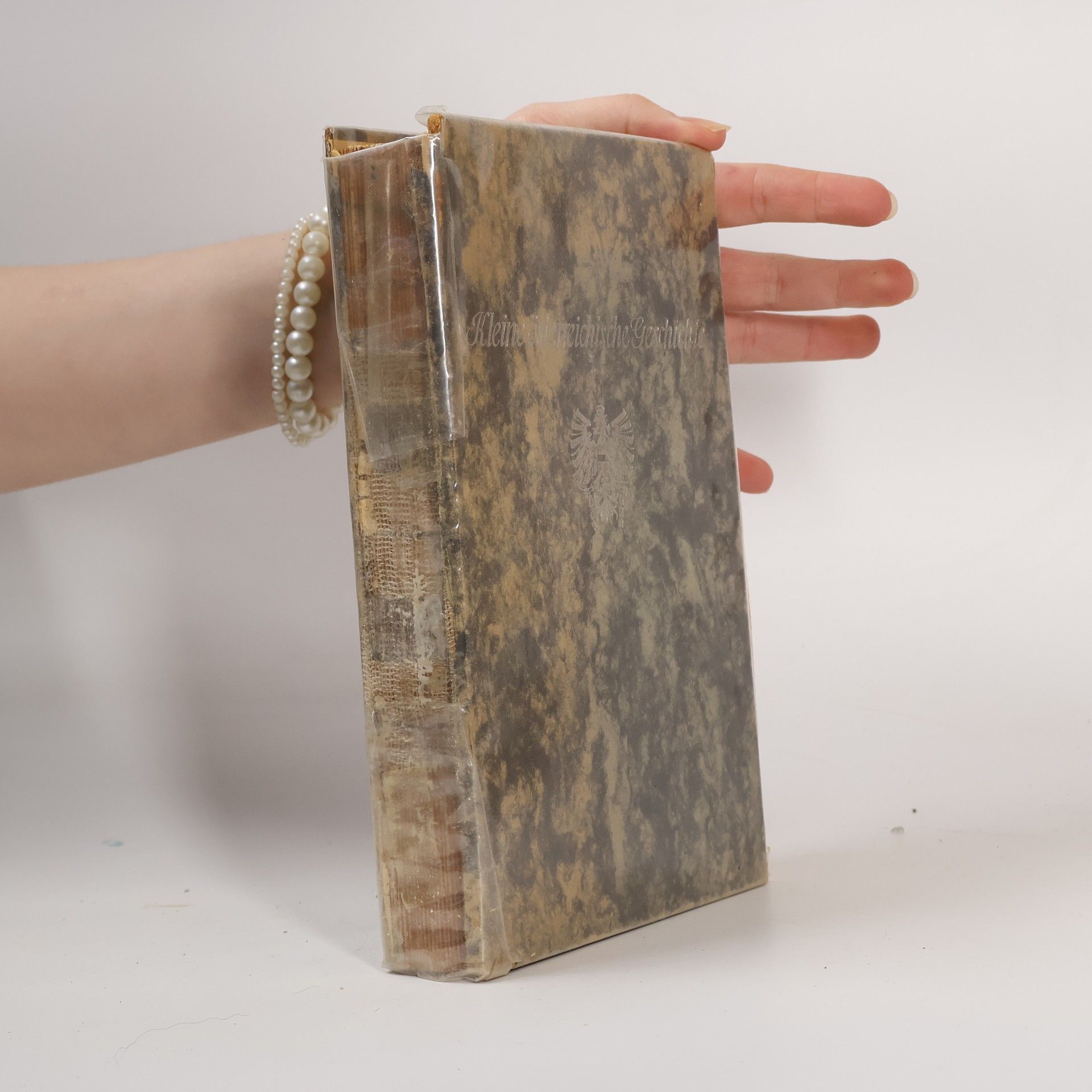 Gottfried Franz Litschauer Kleine österreichische Geschichte