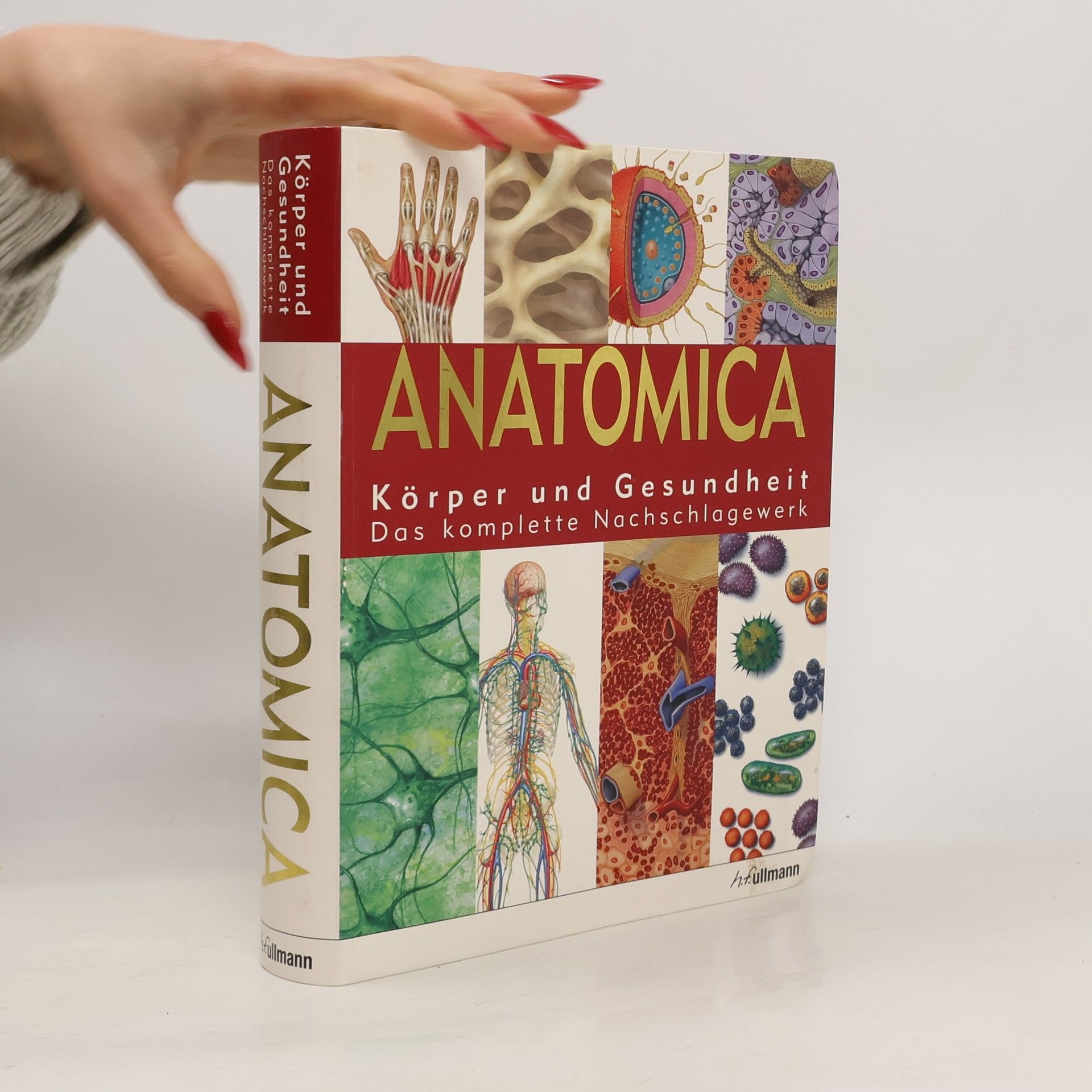 Autorenkollektiv Anatomica. Körper und Gesundheit Das komplette Nachschlagewerk