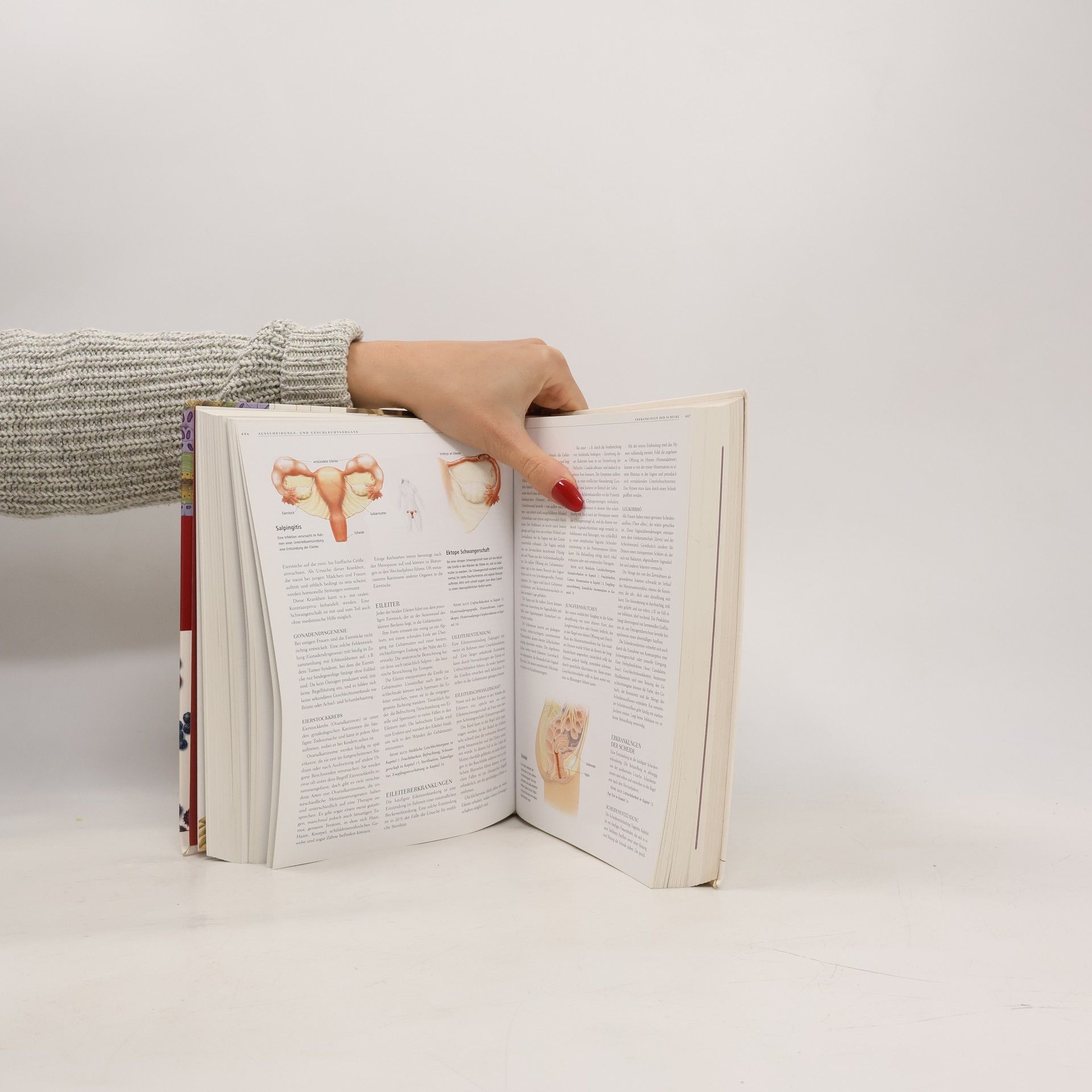 Autorenkollektiv Anatomica. Körper und Gesundheit Das komplette Nachschlagewerk