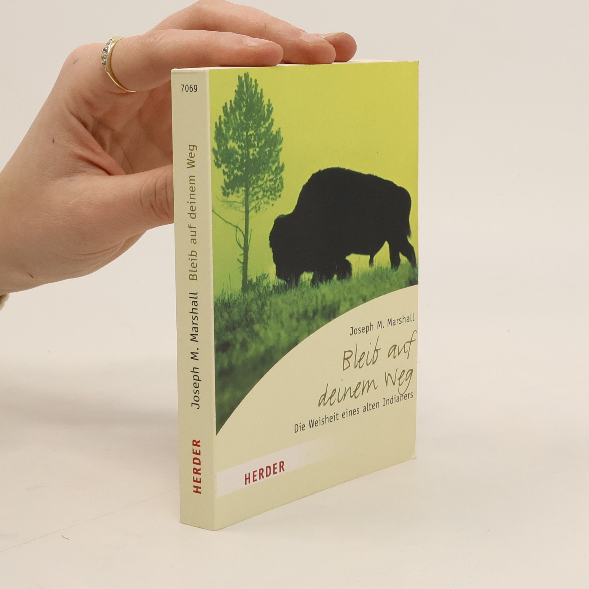 Joe Marshall Bleib auf deinem Weg