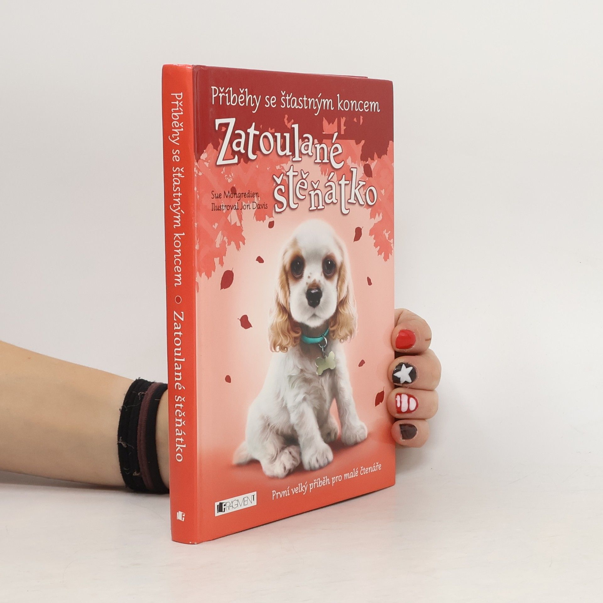 Jon Davis Zatoulané štěňátko