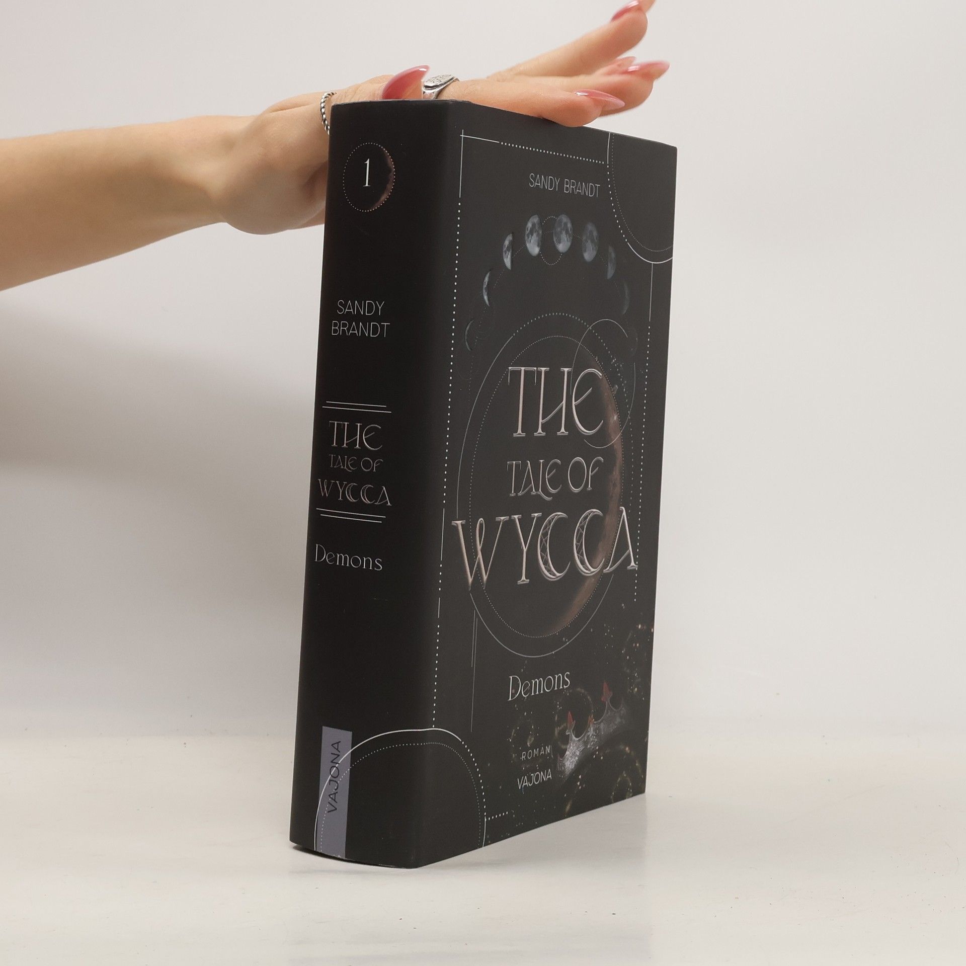 Sandy Brandt THE TALE OF WYCCA: Demons (WYCCA-Reihe 1)