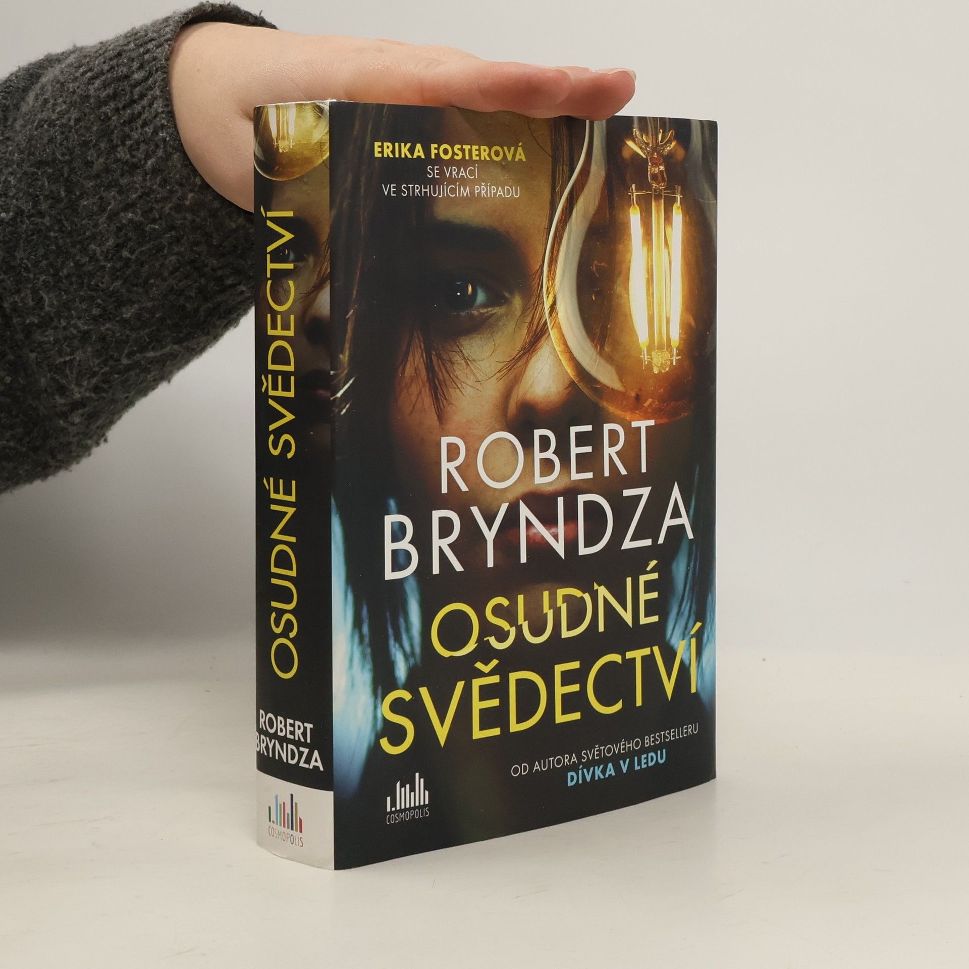 Robert Bryndza Osudné svědectví