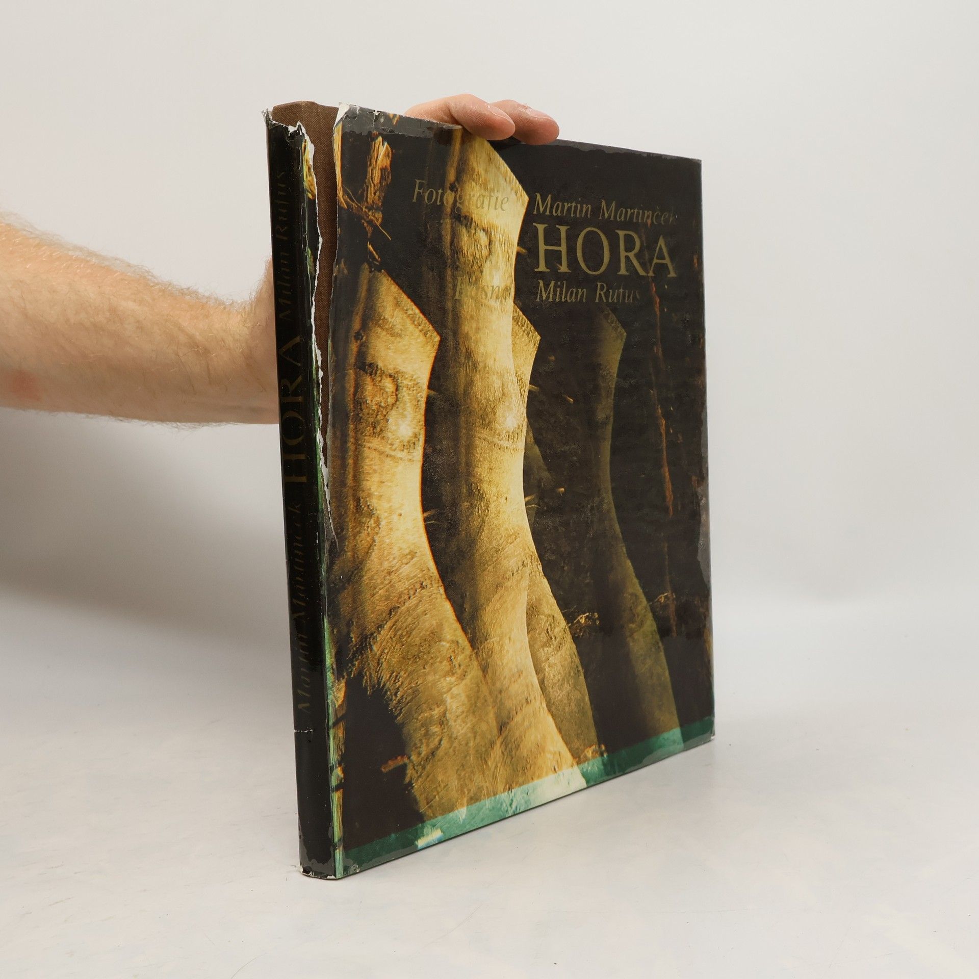 Martin Martinček Hora