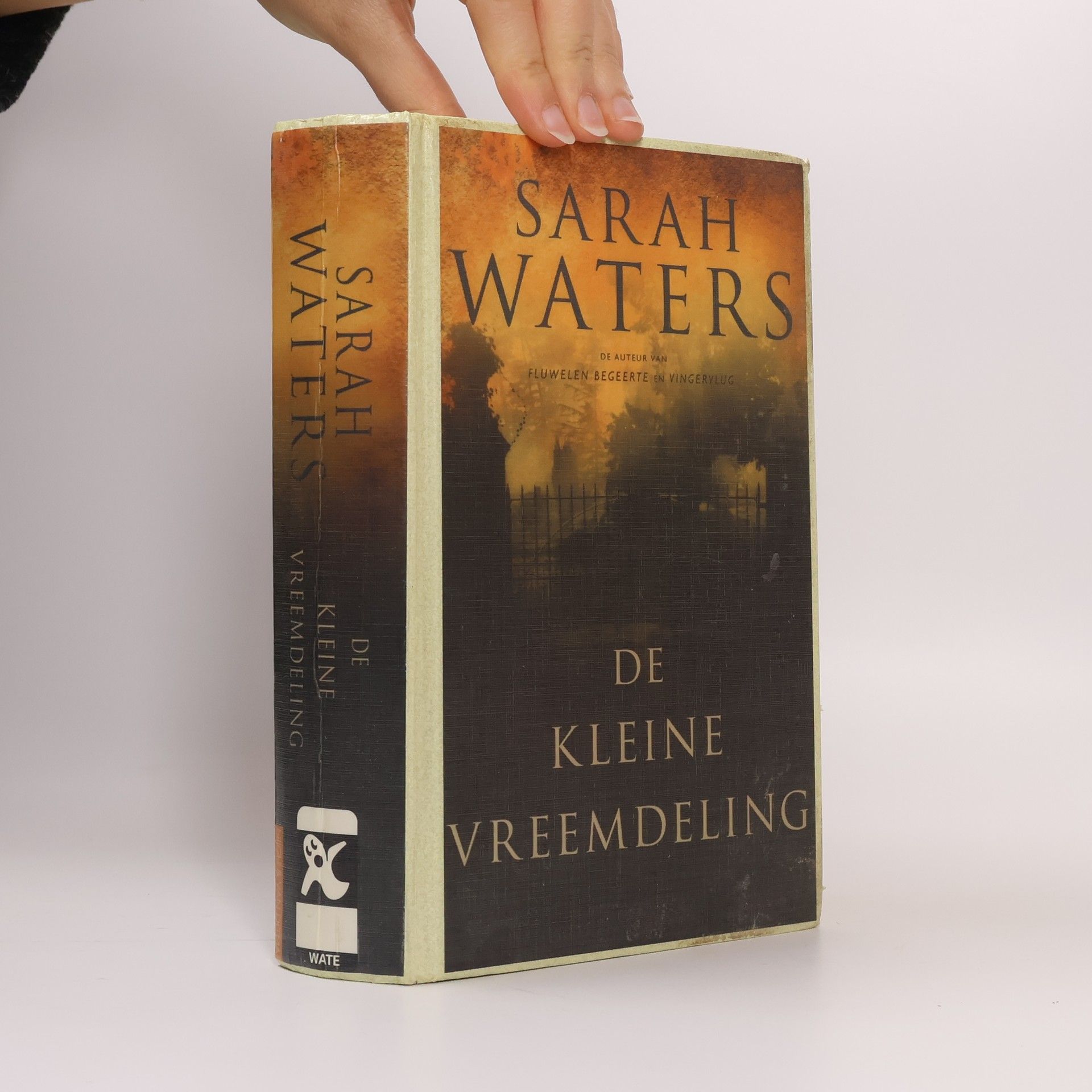 Sarah Waters De kleine vreemdeling