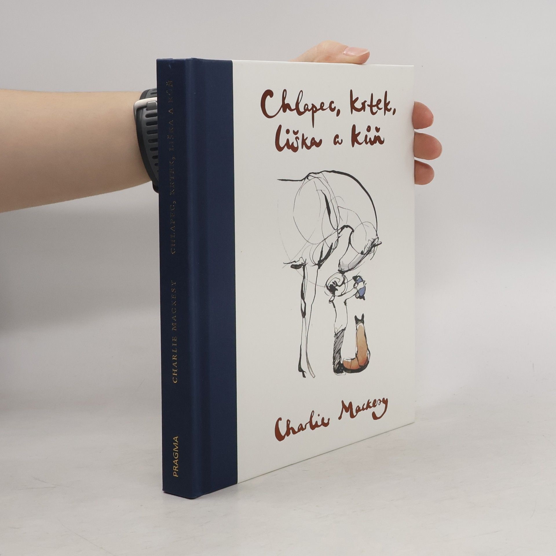 Chlapec, krtek, liška a kůň