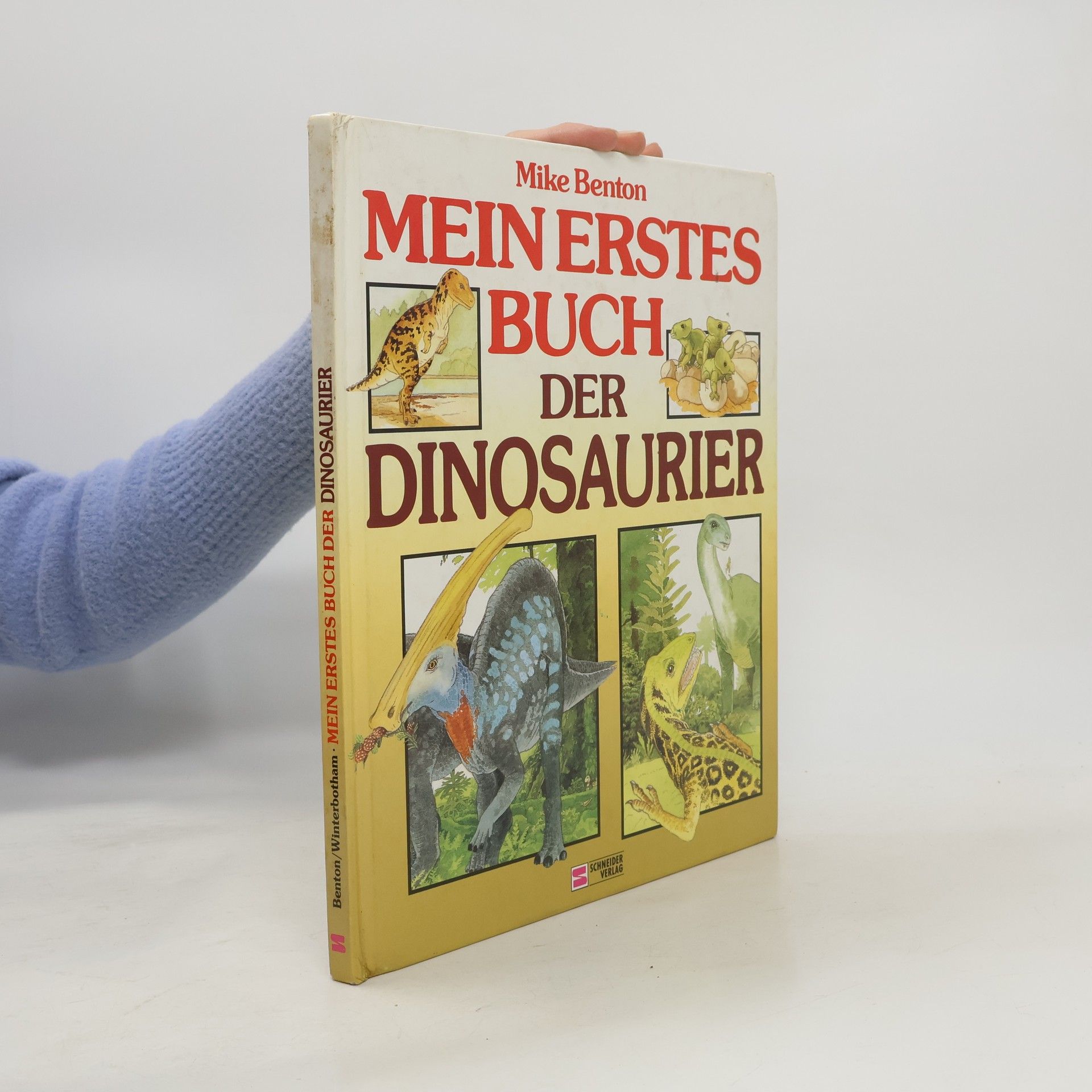 Kolektív autorov Mein erstes Buch der Dinosaurier