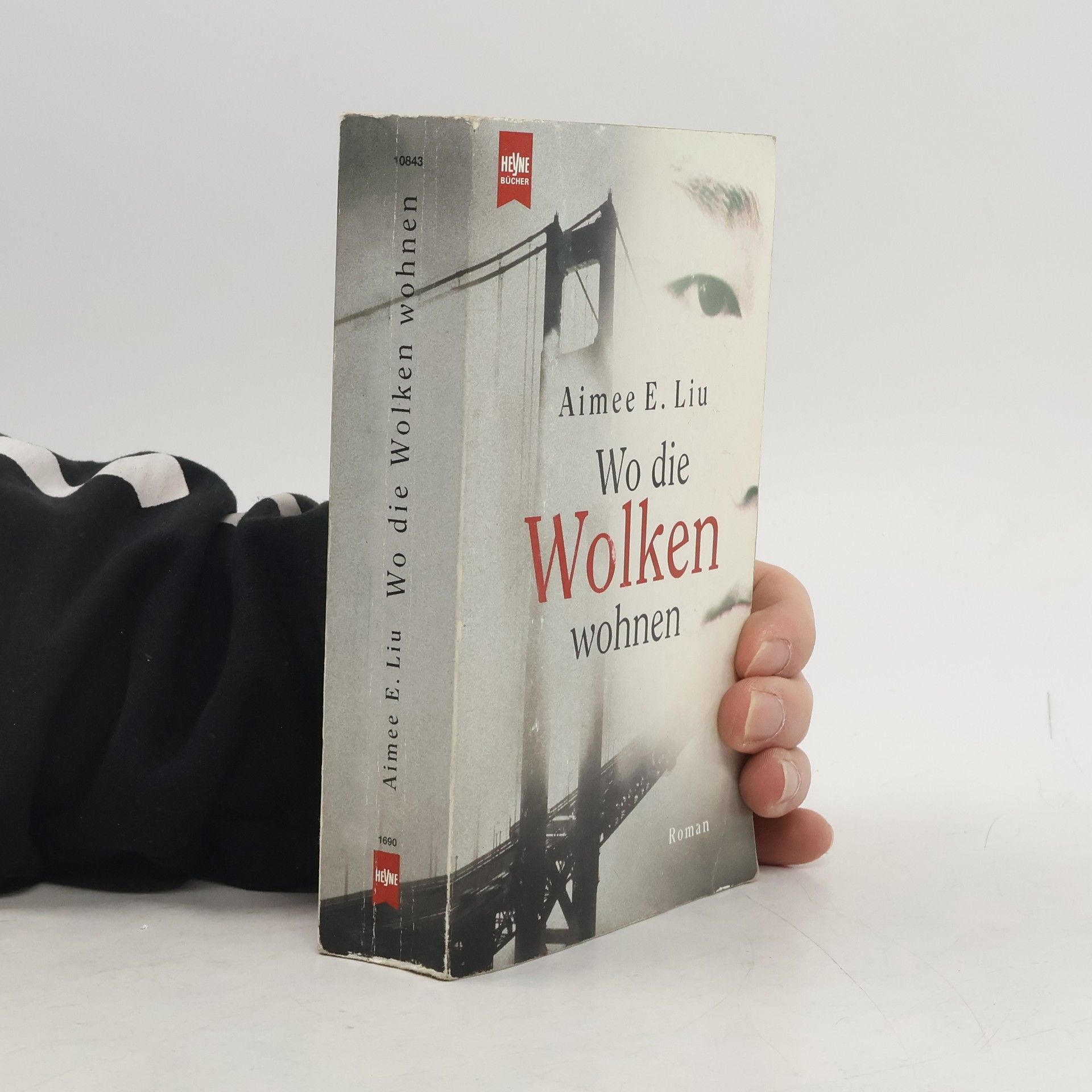 Aimee E. Liu Wo die Wolken wohnen