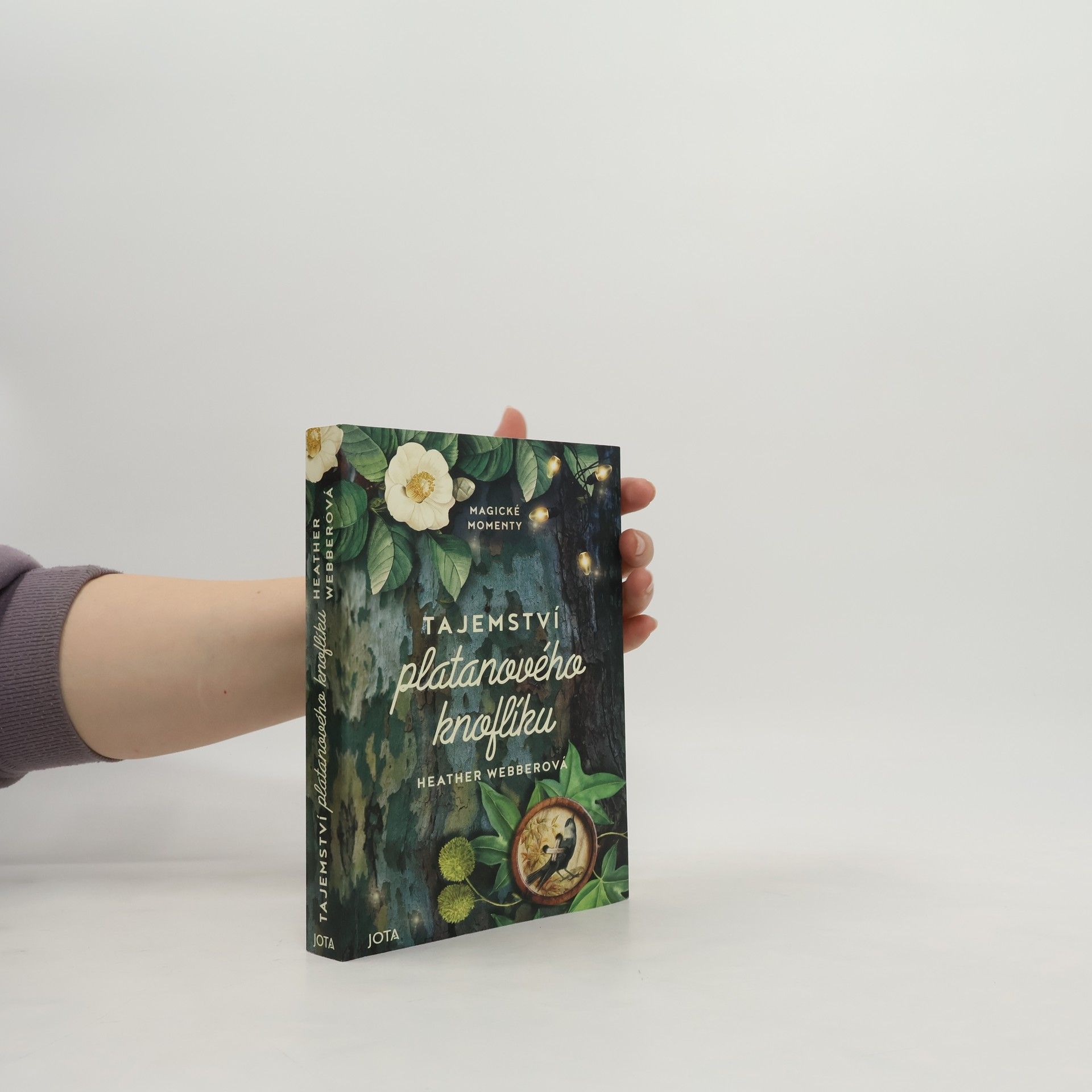 Tajemství platanového knoflíku