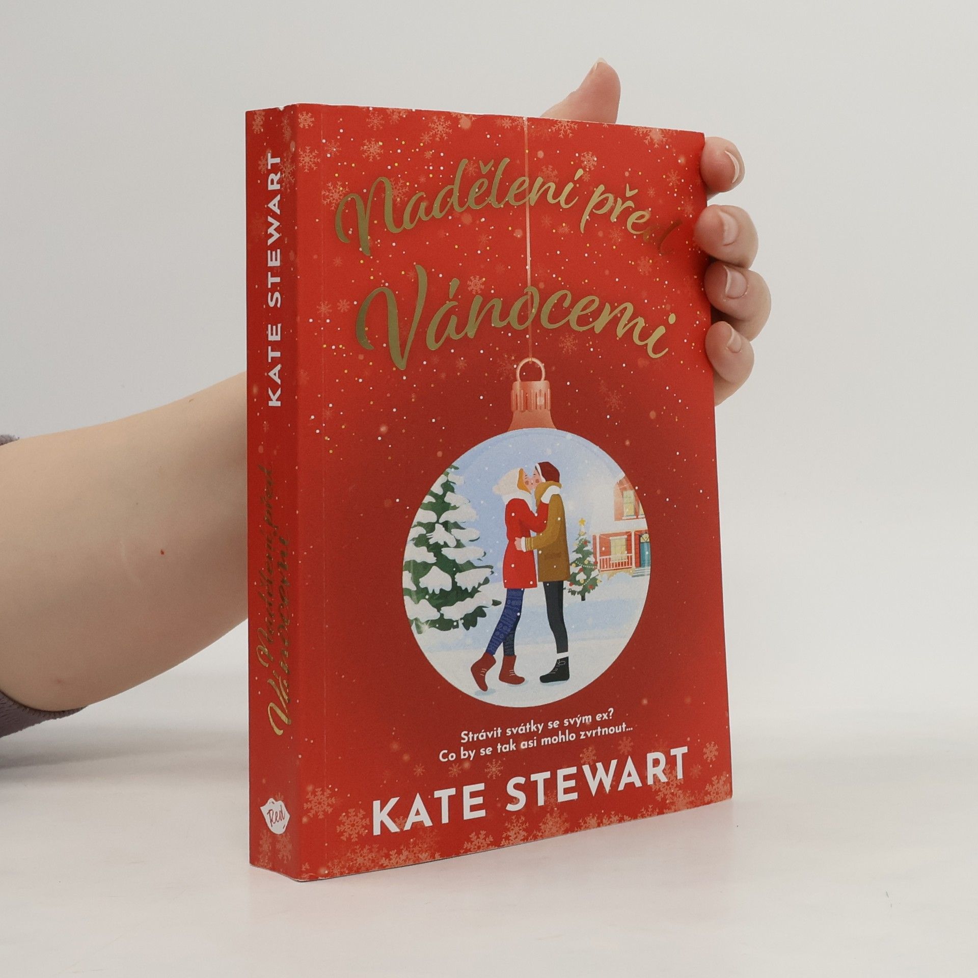 Kate Stewart Nadělení před Vánocemi