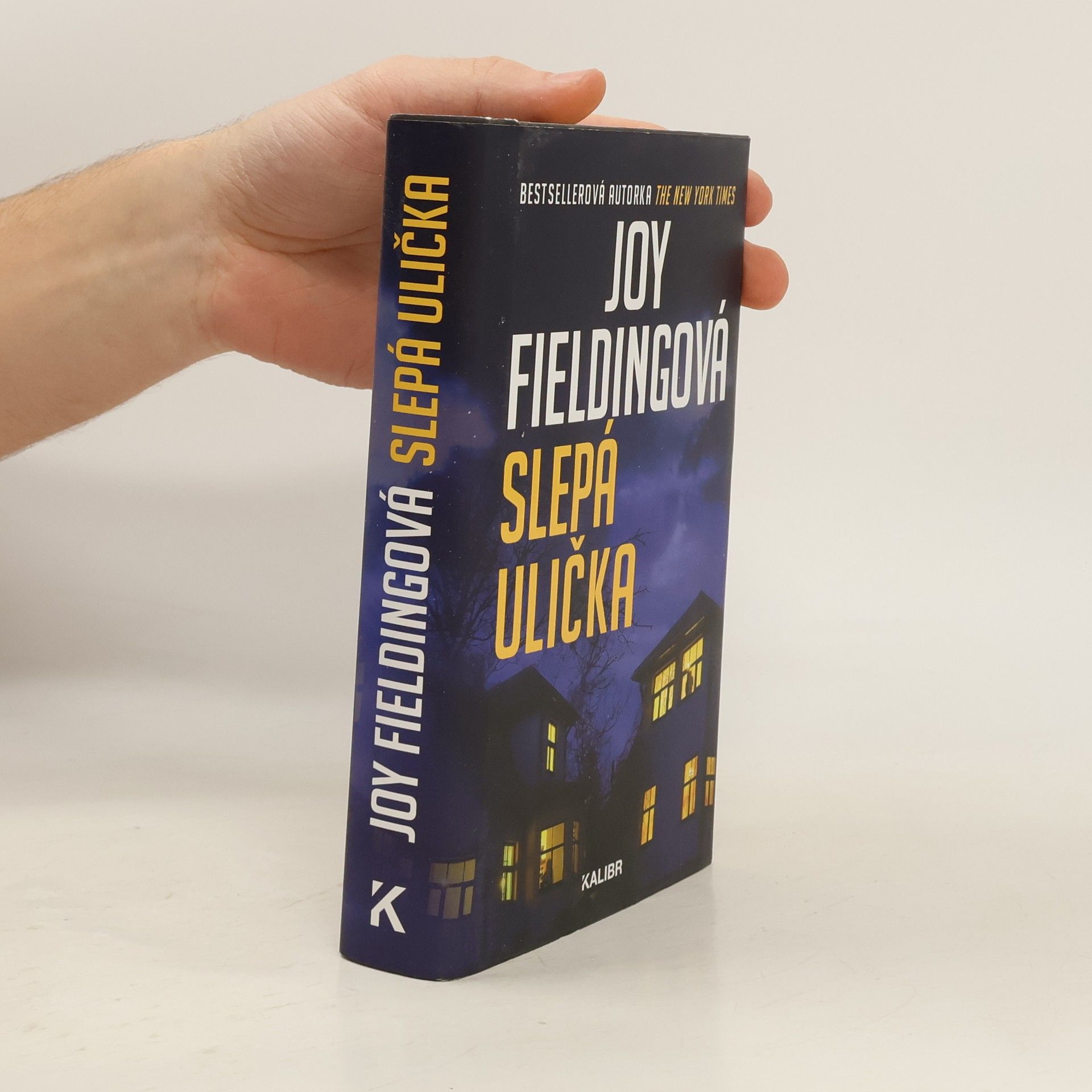 Joy Fielding Slepá ulička