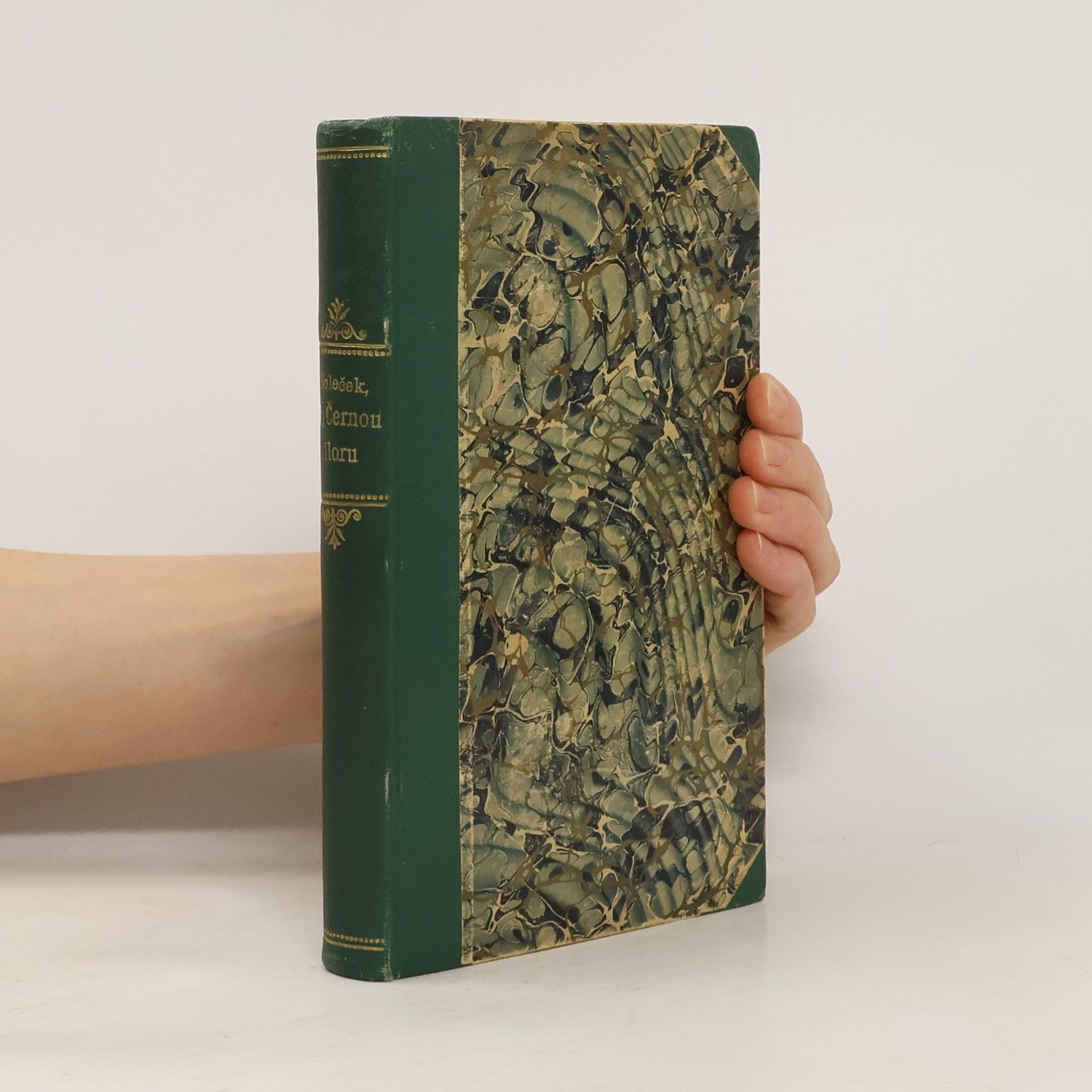 Josef Holeček Na Černou Horu a Černá Hora koncem věku