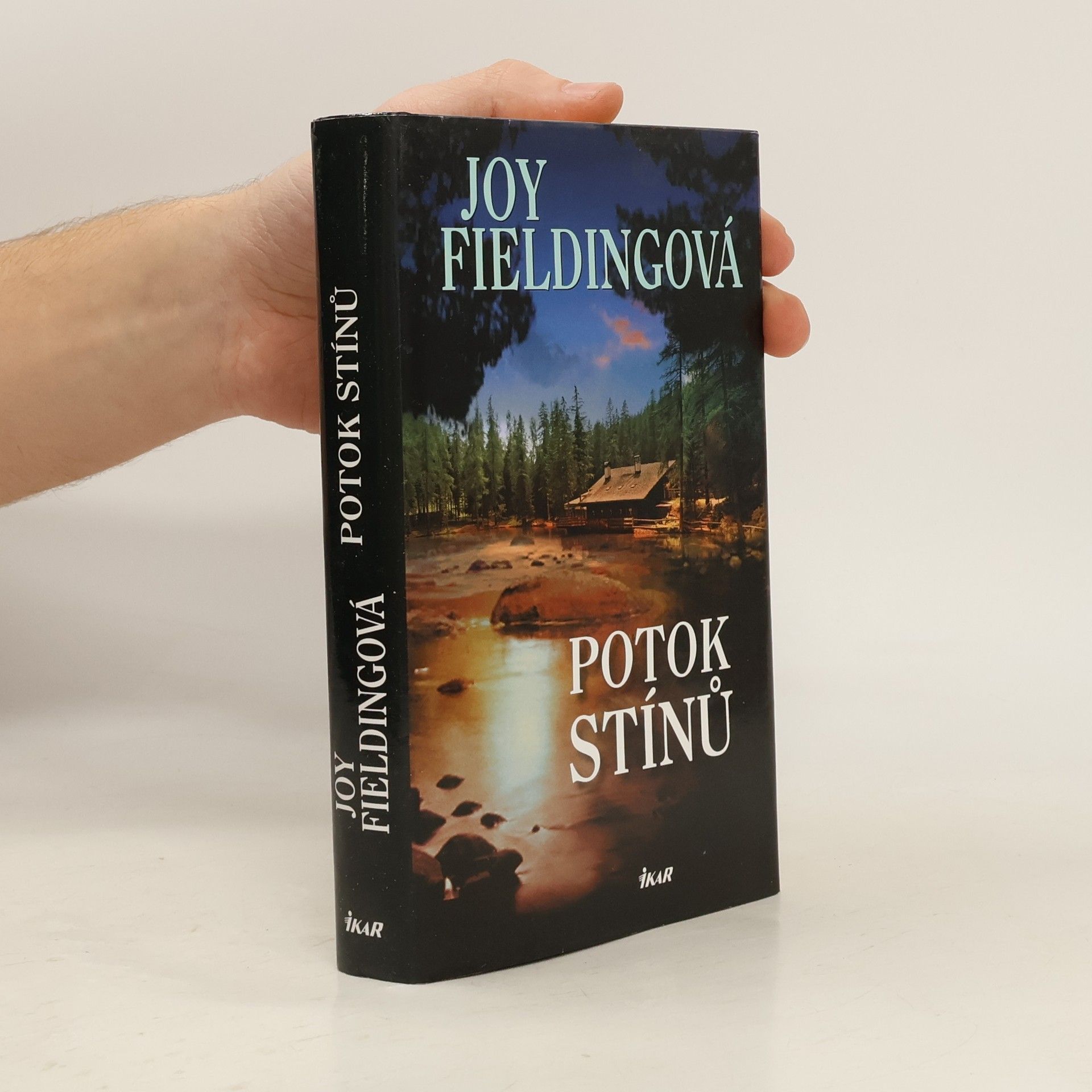 Joy Fielding Potok stínů