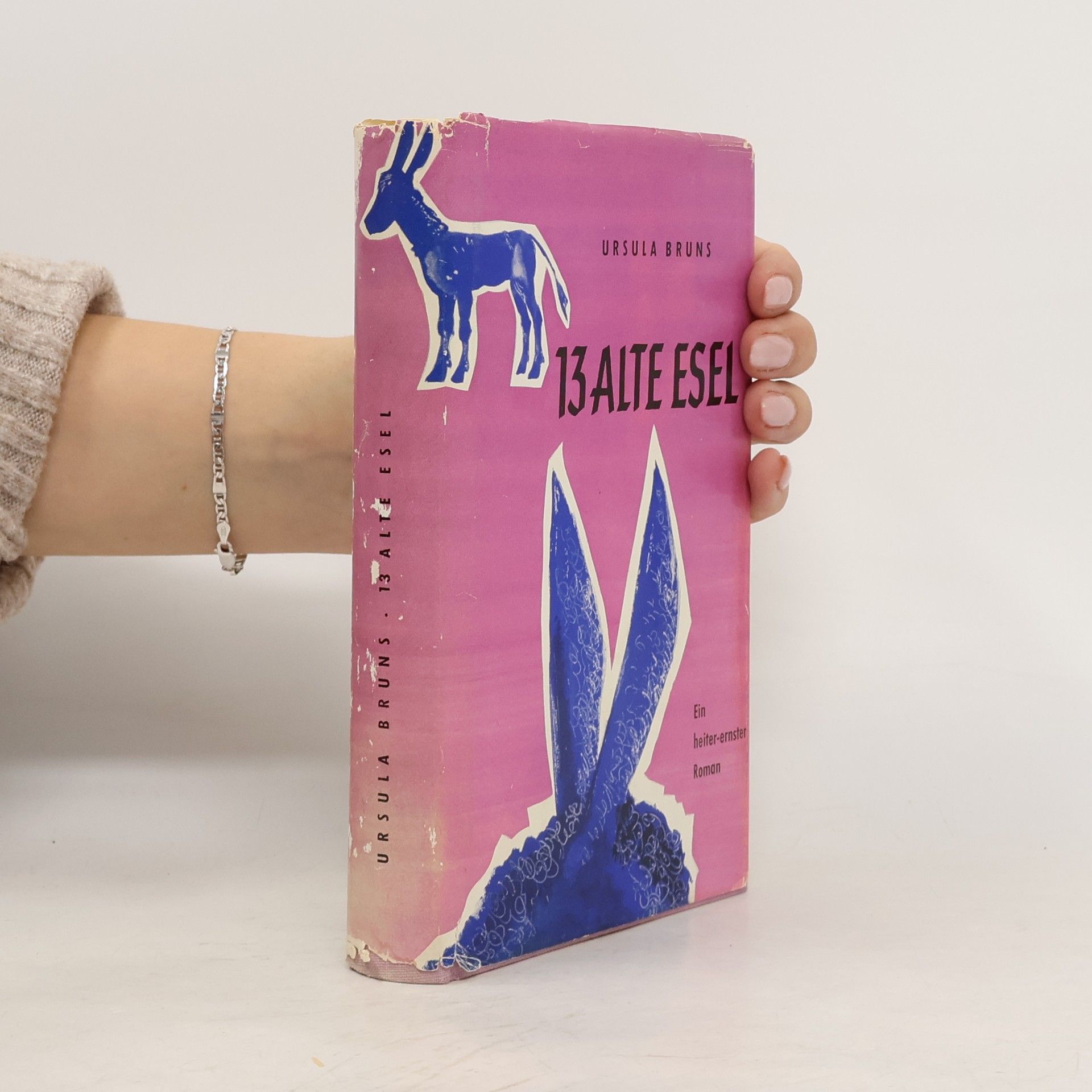 Ursula Bruns 13 alte Esel