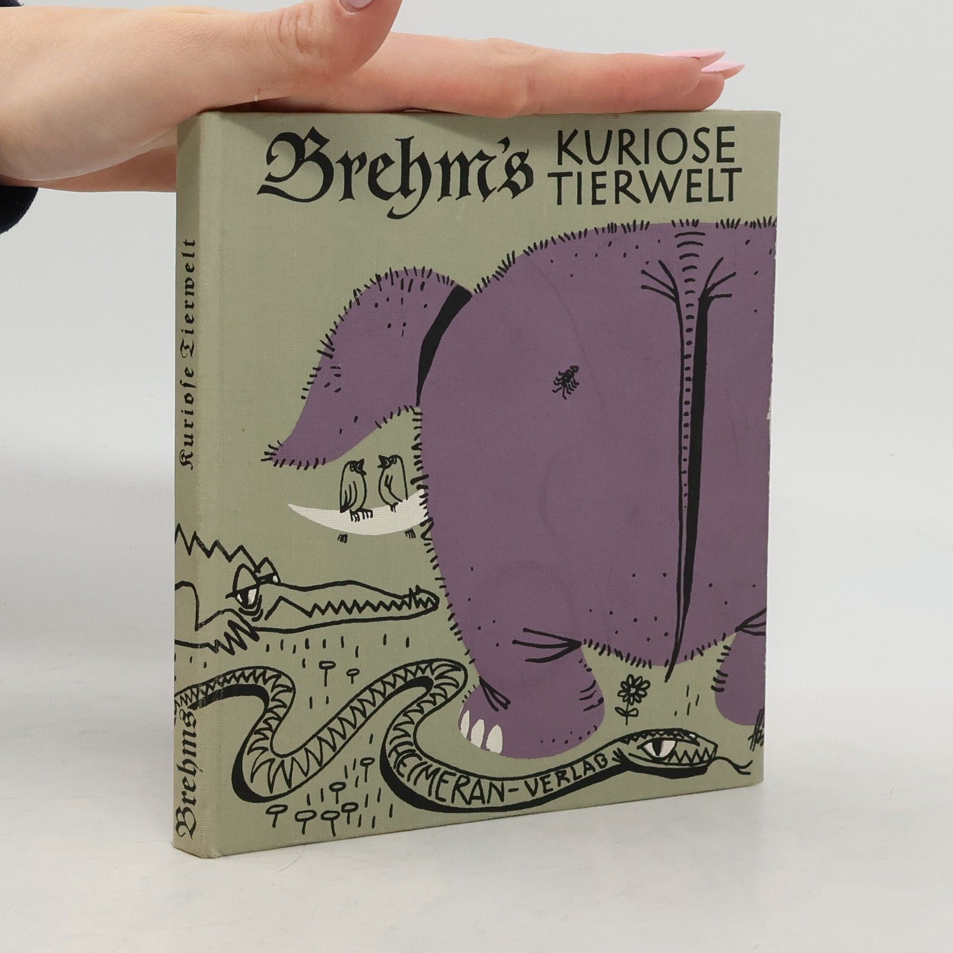 Collectif d'auteurs Kuriose Tierwelt