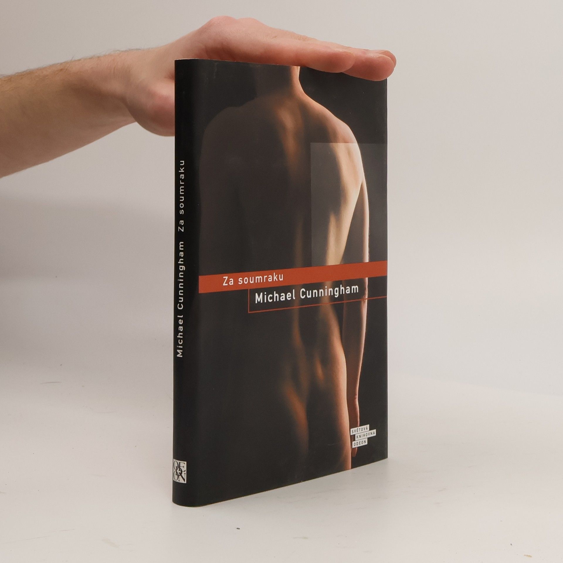 Michael Cunningham Za soumraku