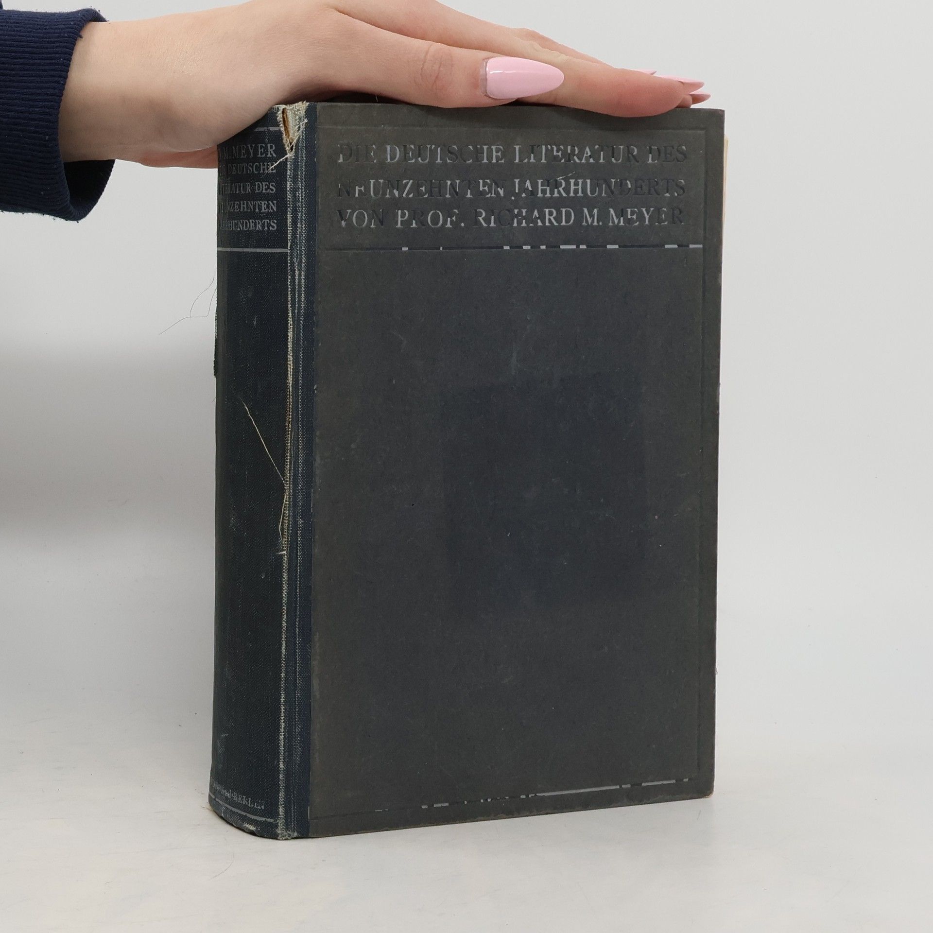 Richard M. Meyer Die deutsche Literatur des Neunzehnten Jahrhunderts