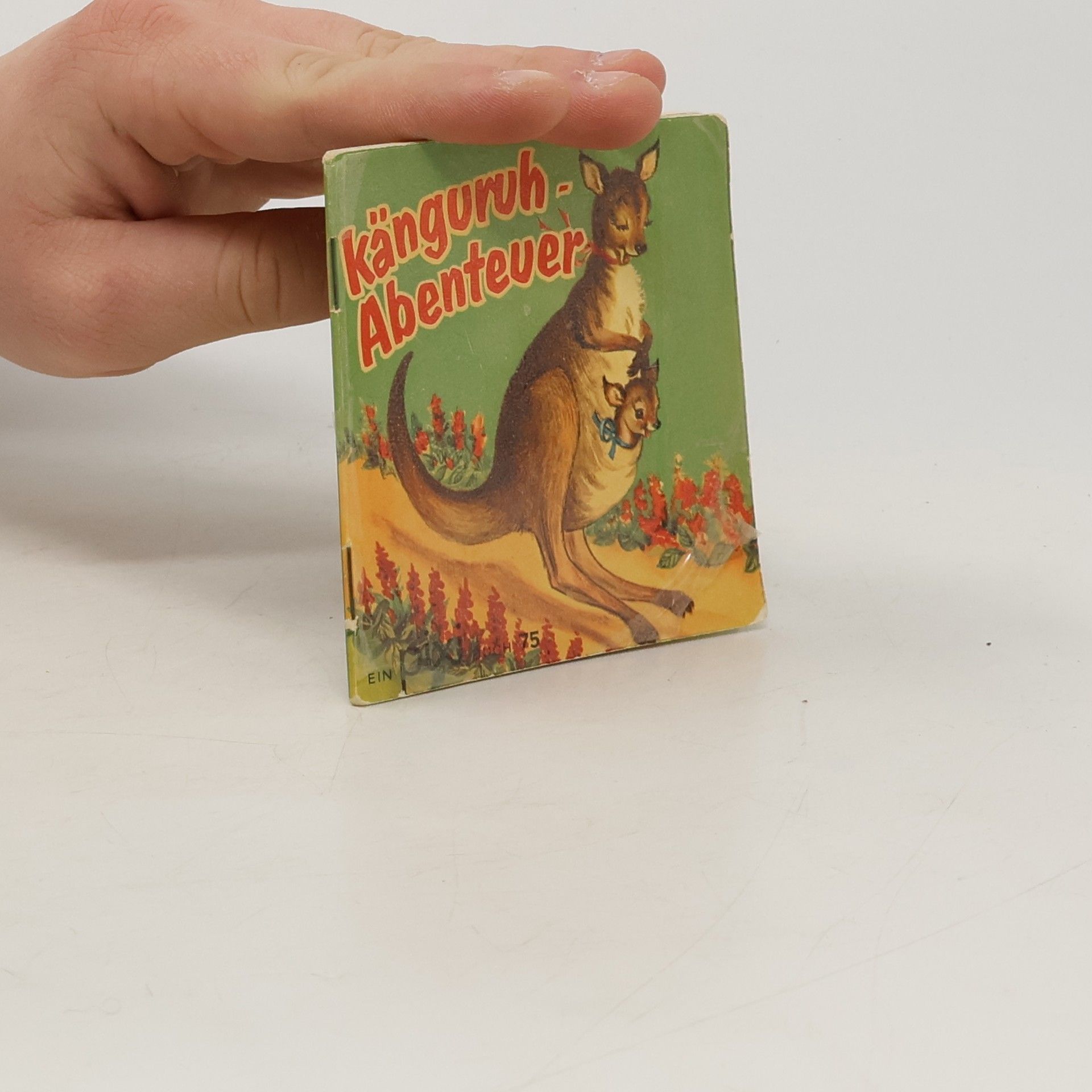 Elisa Lewis Känguruh Abenteuer