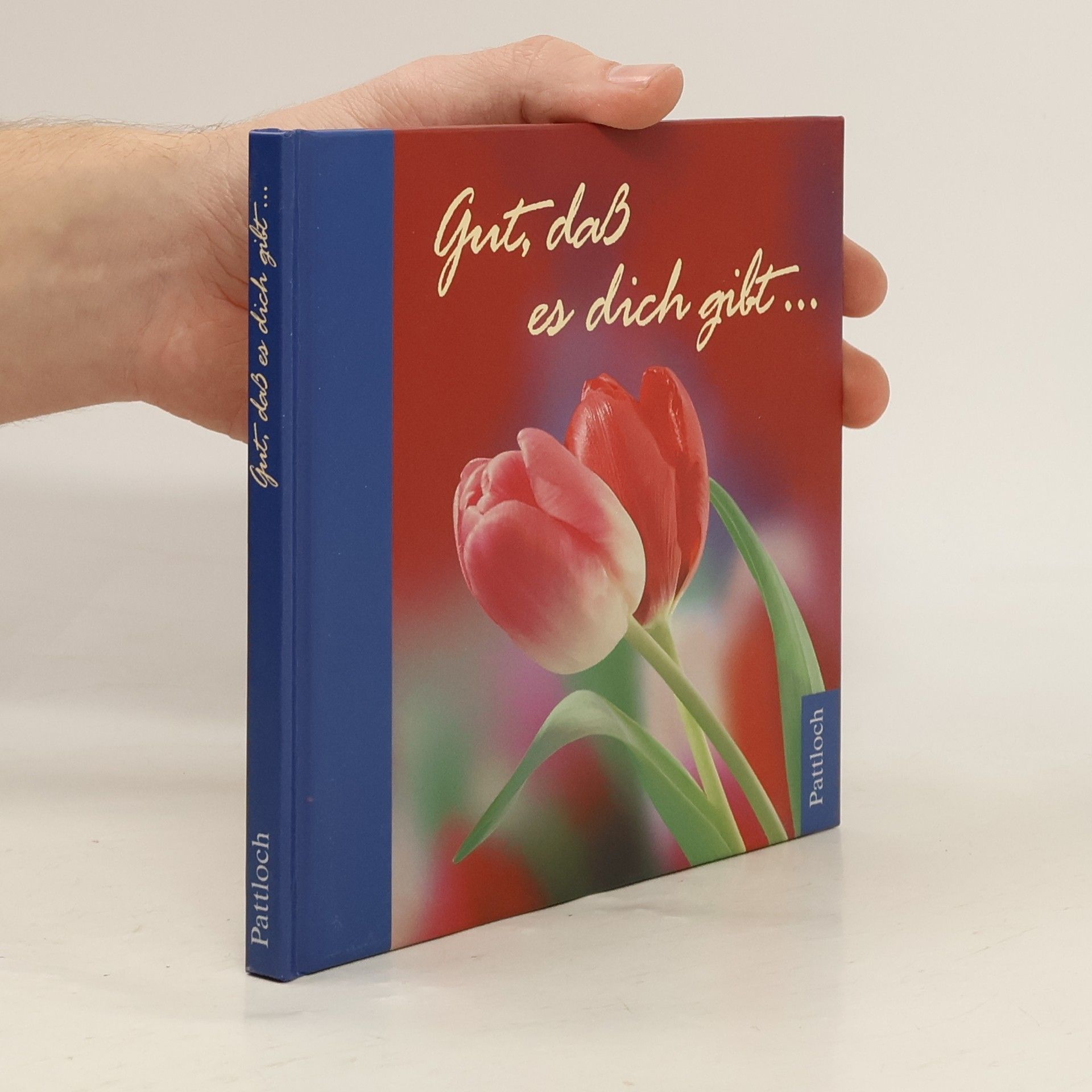 Kolektiv autorů Gut, dass es Dich gibt