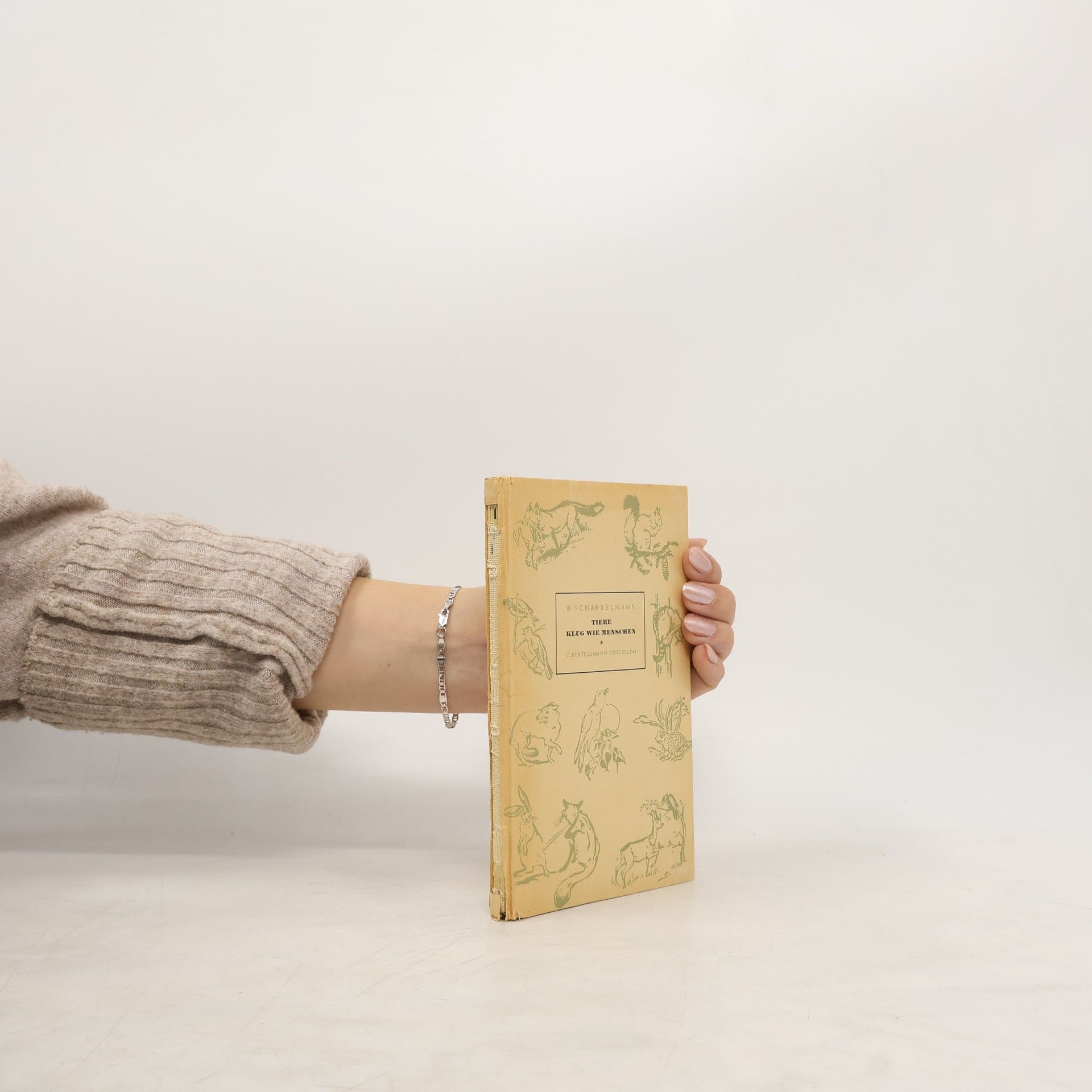 Tiere klug wie Menschen