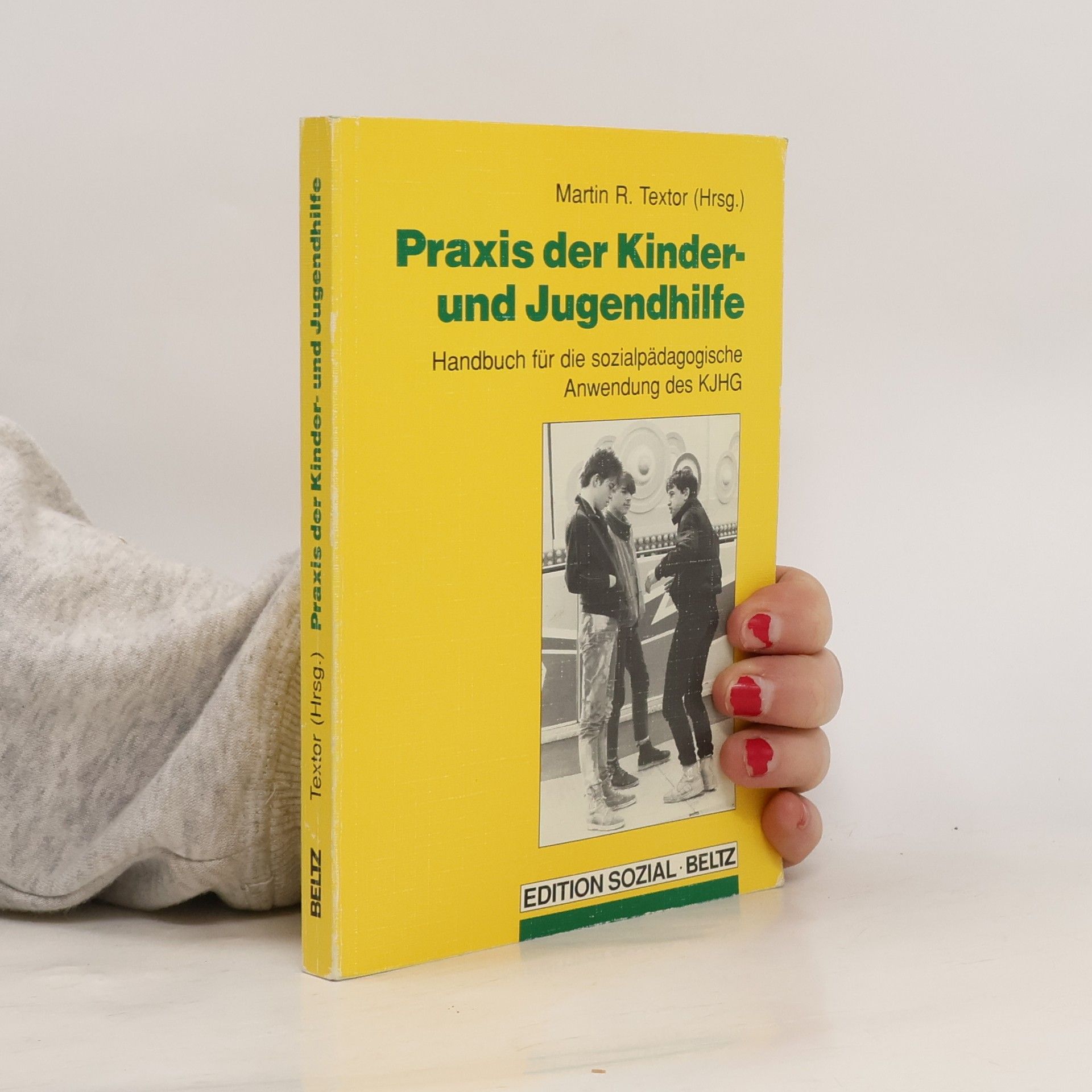 Praxis der Kinder- und Jugendhilfe