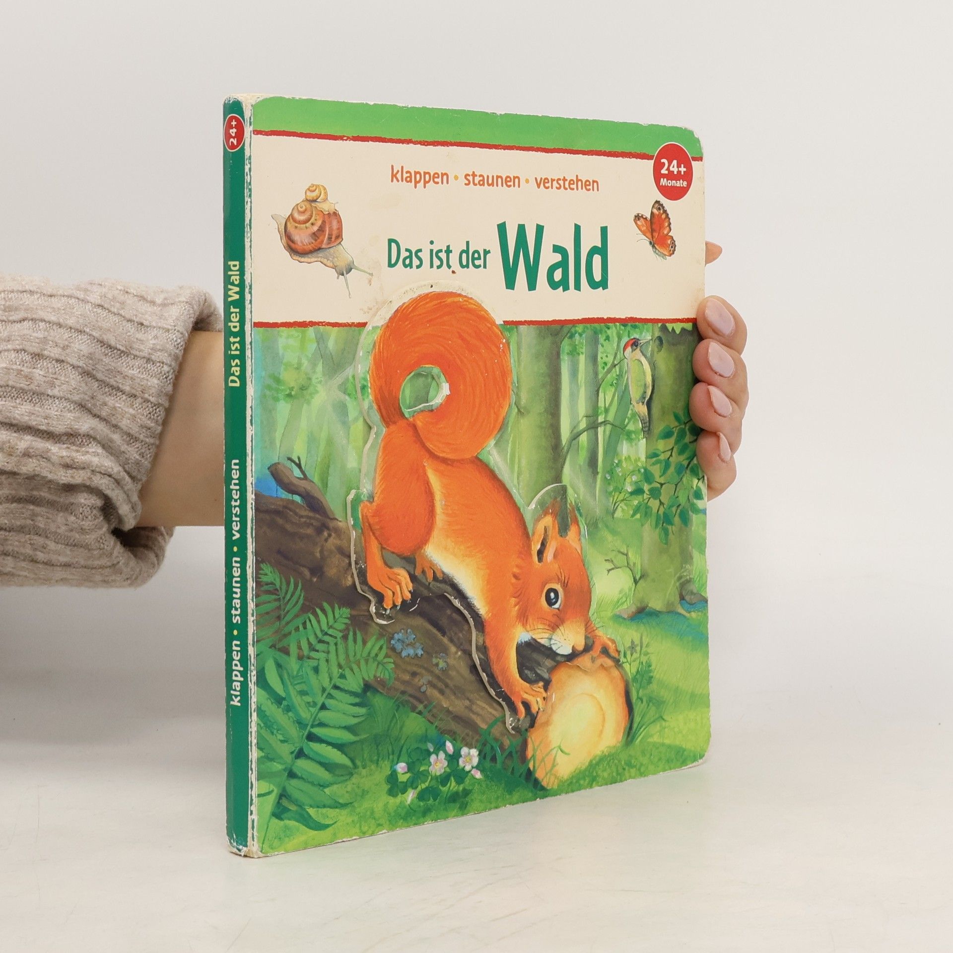 Kolektiv autorů Das ist der Wald