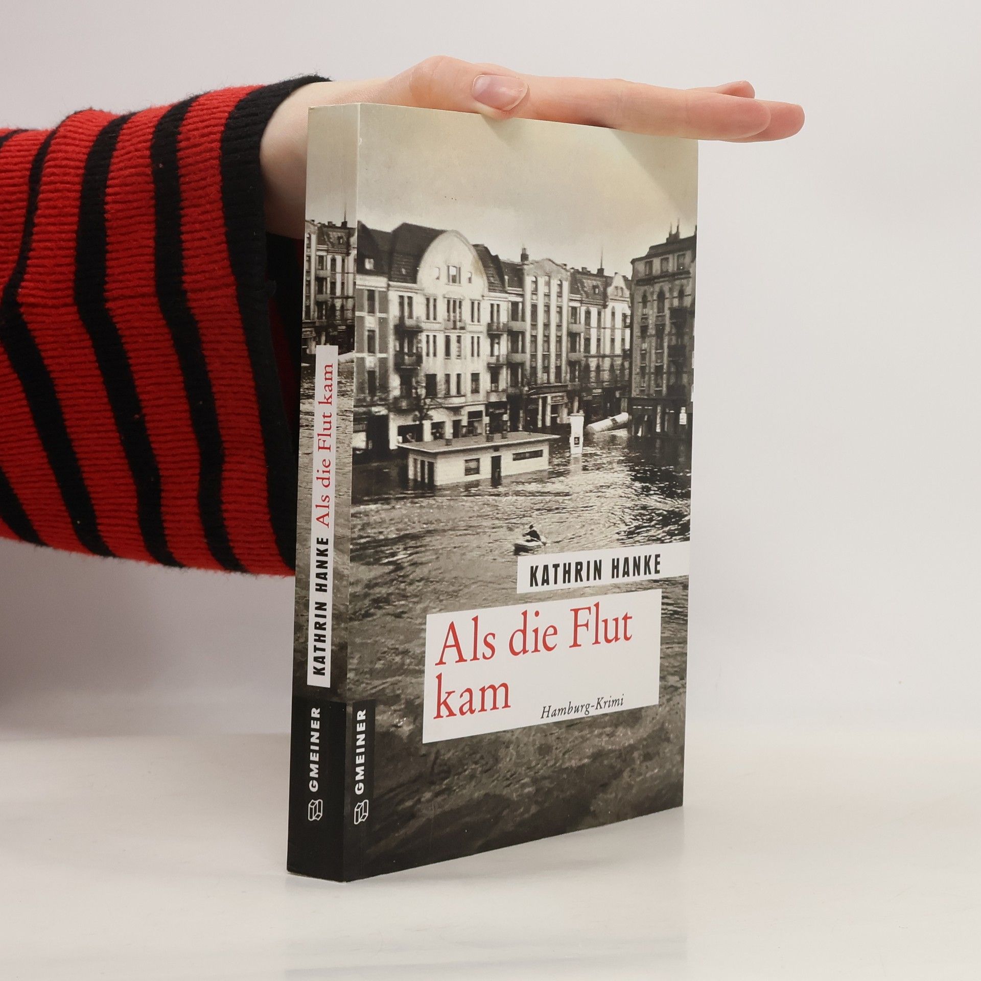 Kathrin Hanke Als die Flut kam