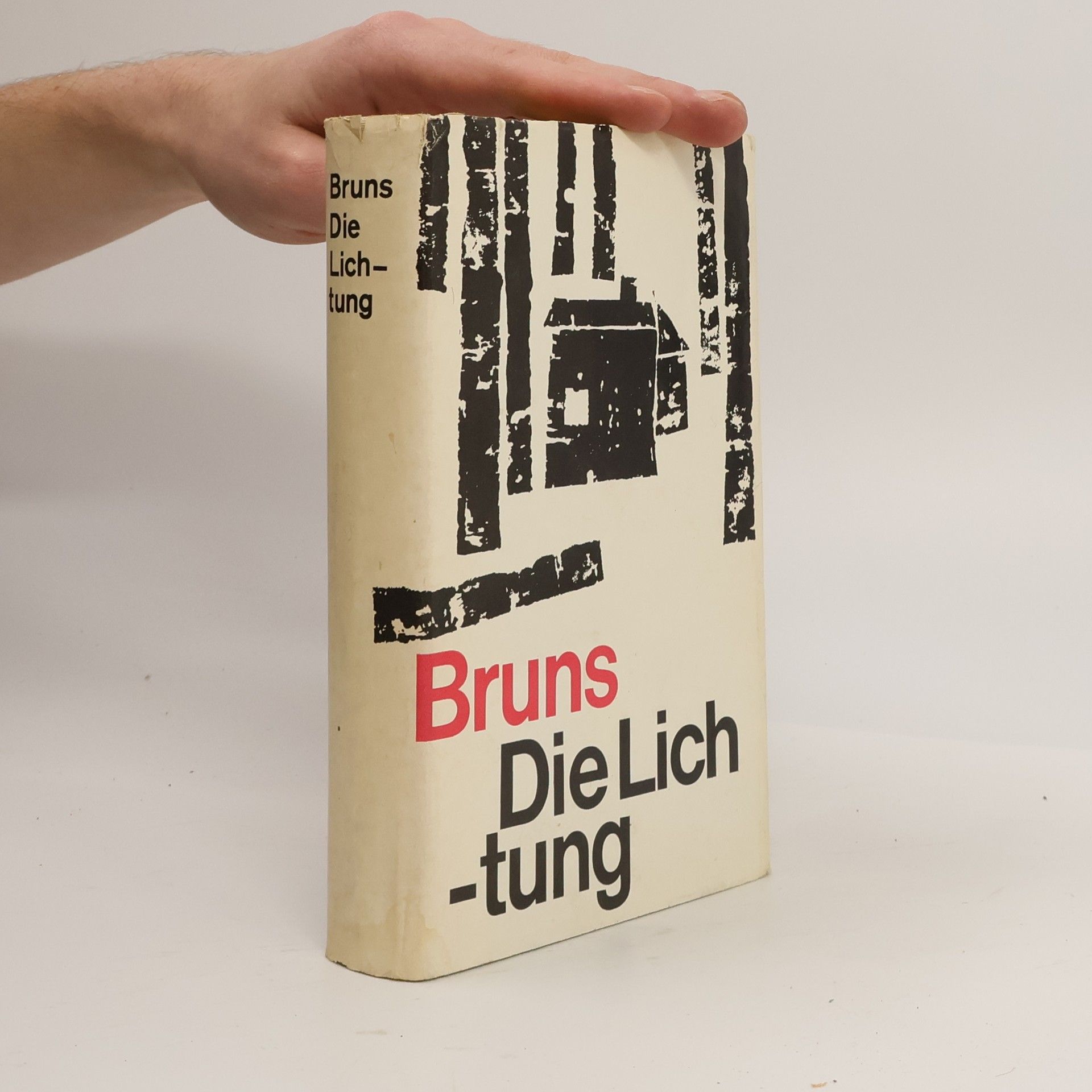 Marianne Bruns Die Lichtung