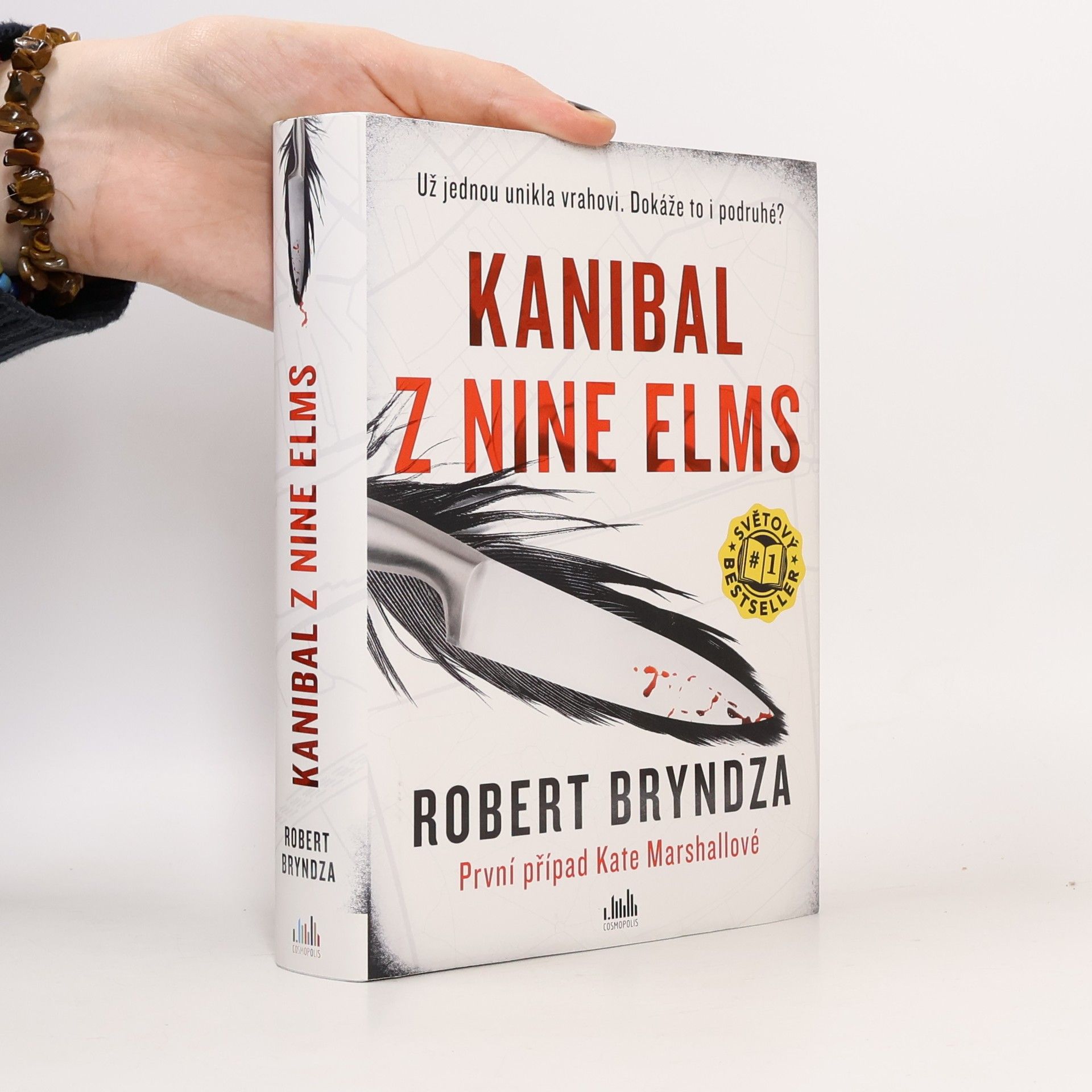 Robert Bryndza Kanibal z Nine Elms