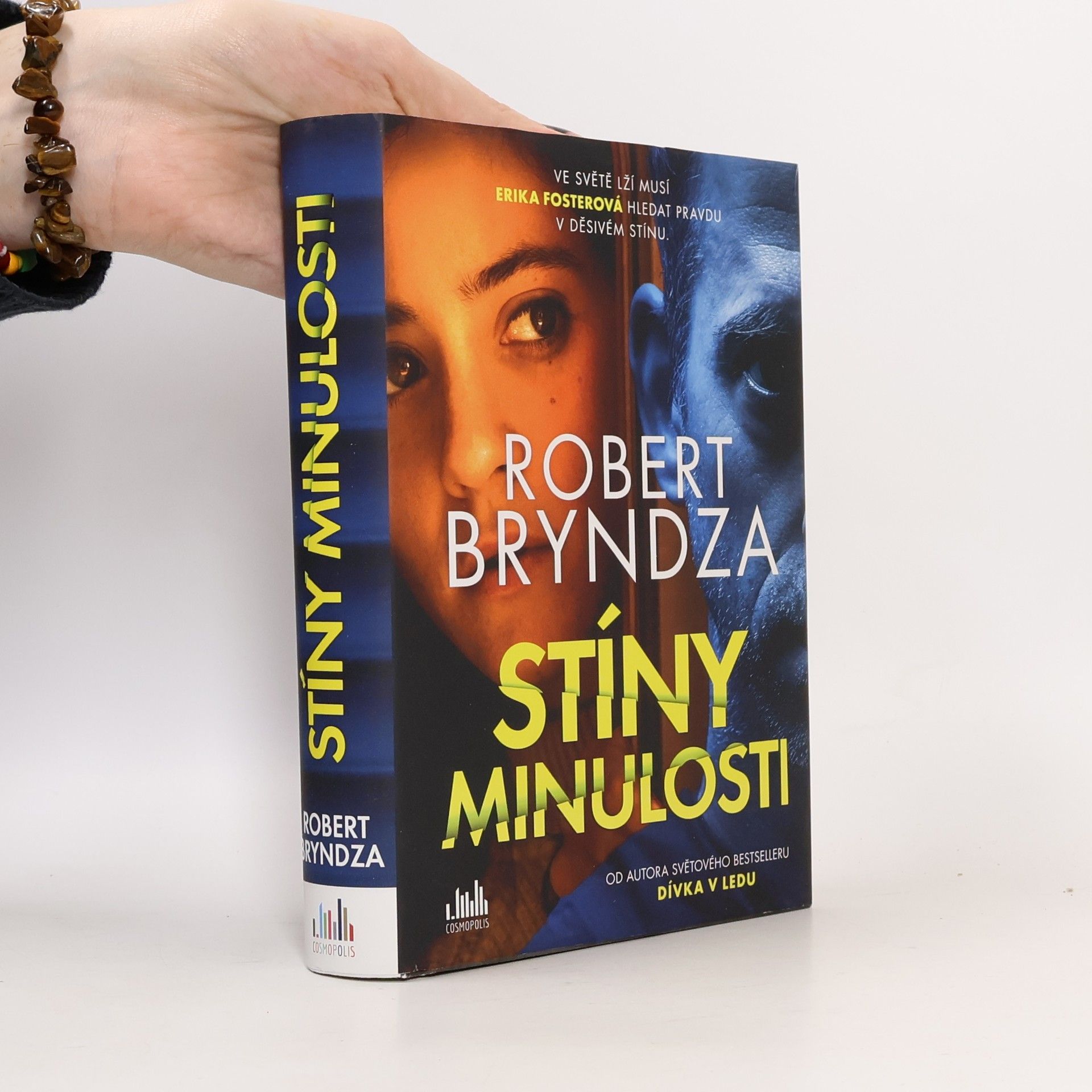 Robert Bryndza Stíny minulosti