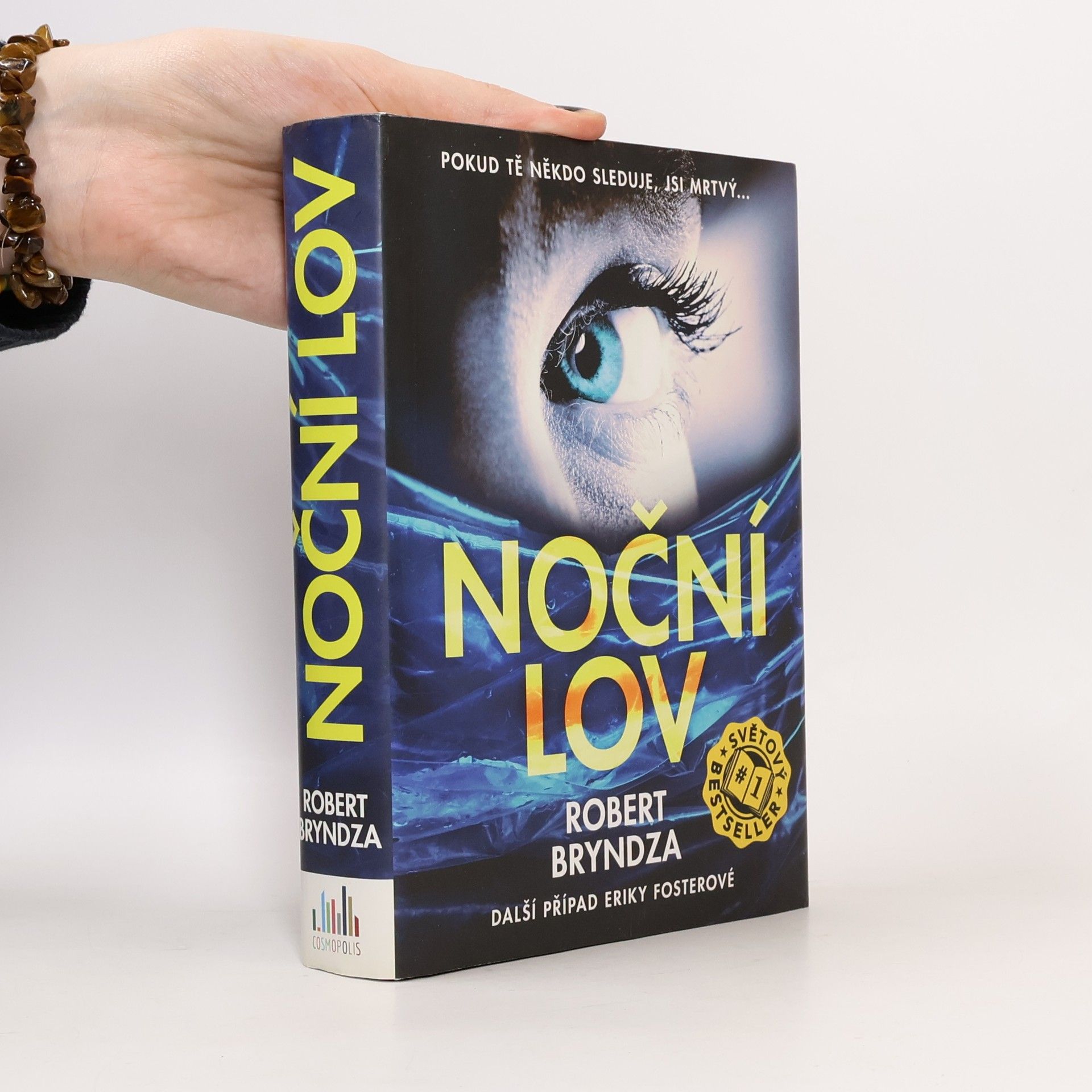 Robert Bryndza Noční lov