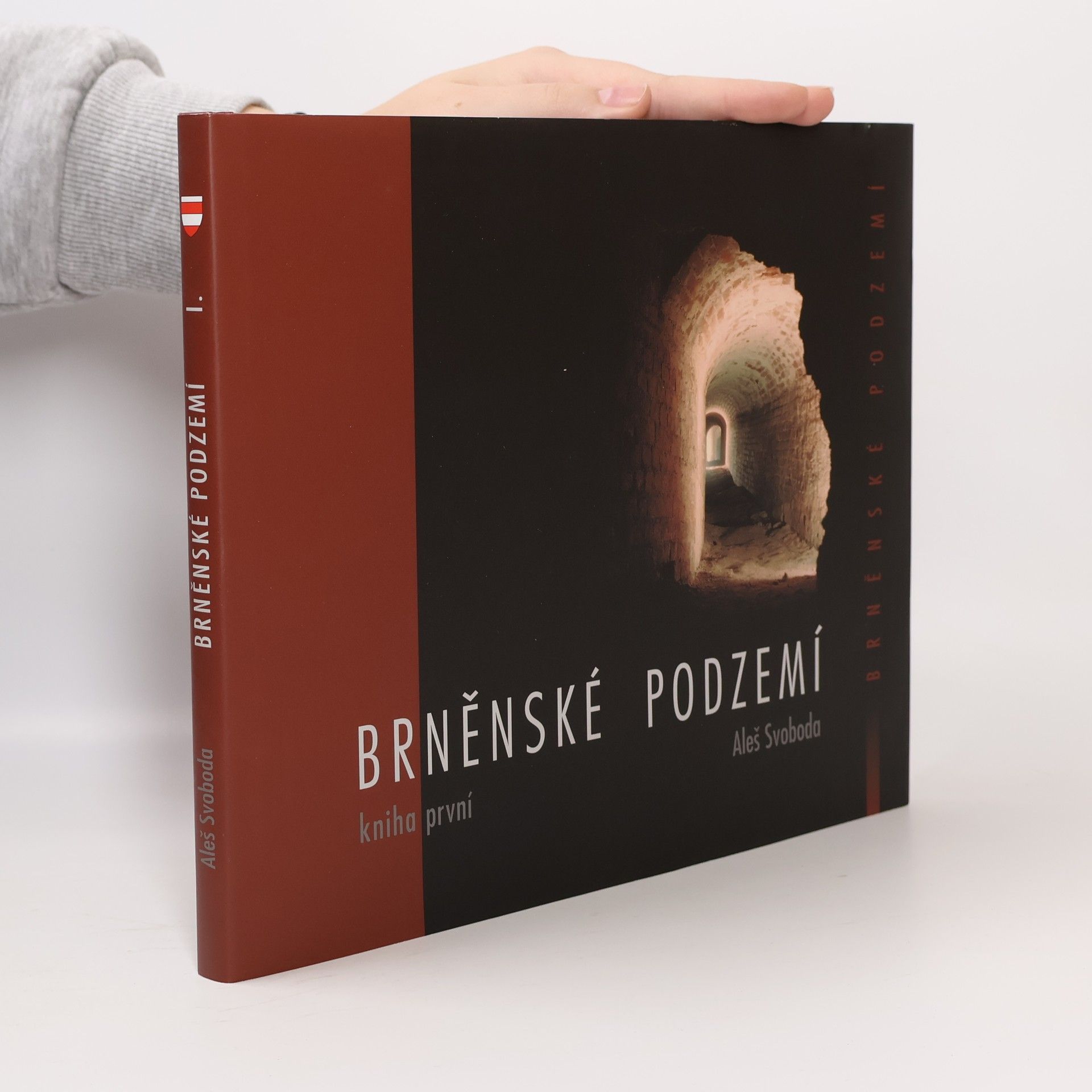 Aleš Svoboda Brněnské podzemí - Kniha první