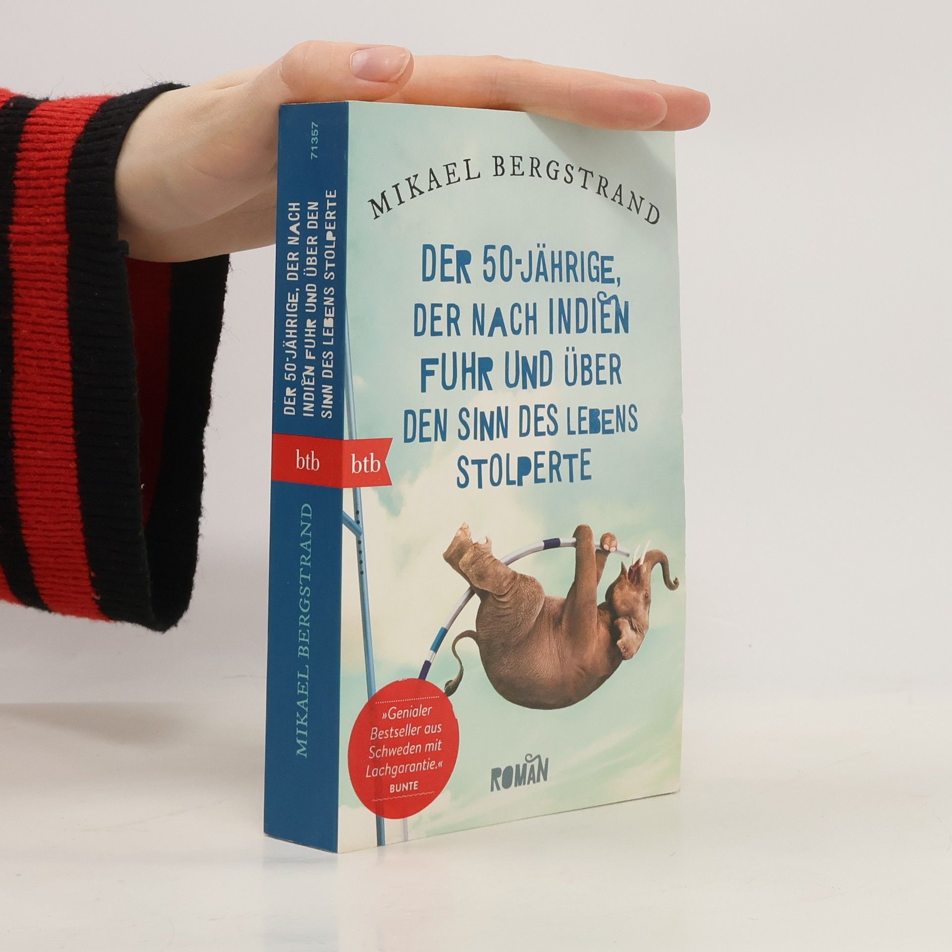 Mikael Bergstrand Der 50-jährige, der nach Indien fuhr und über den Sinn des Lebens stolperte