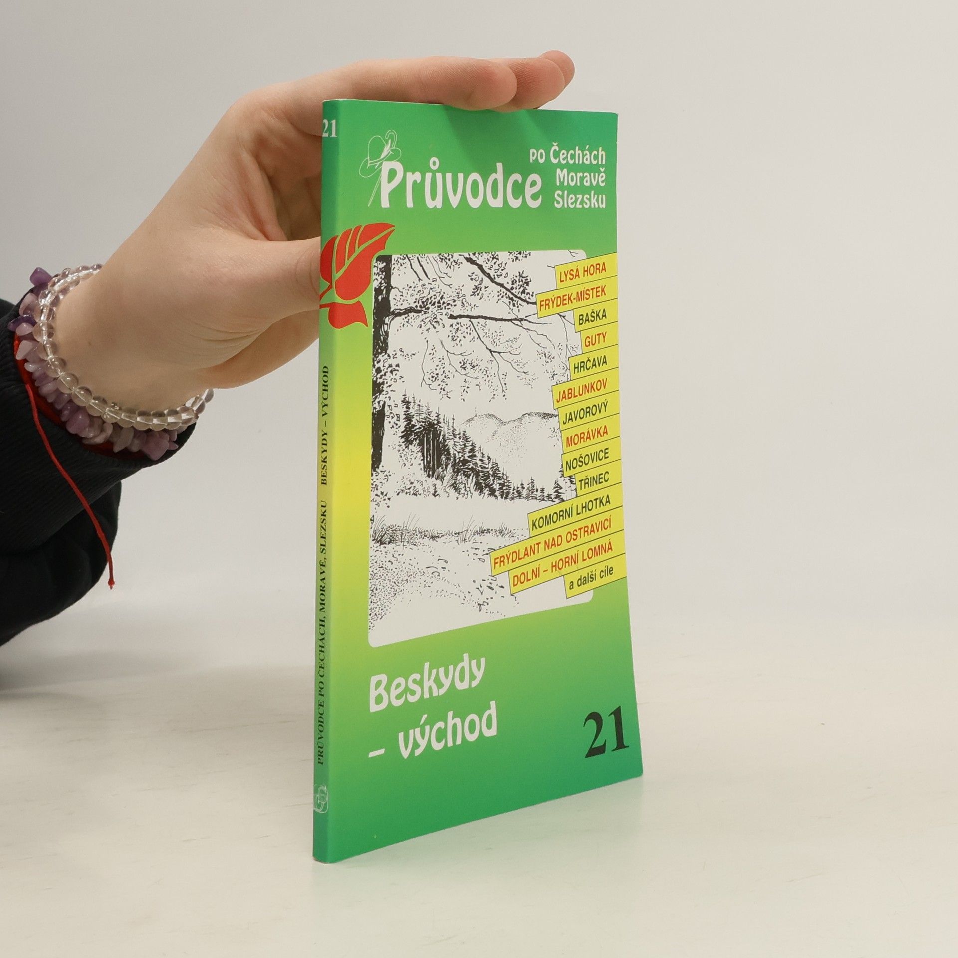 P. David Beskydy - východ