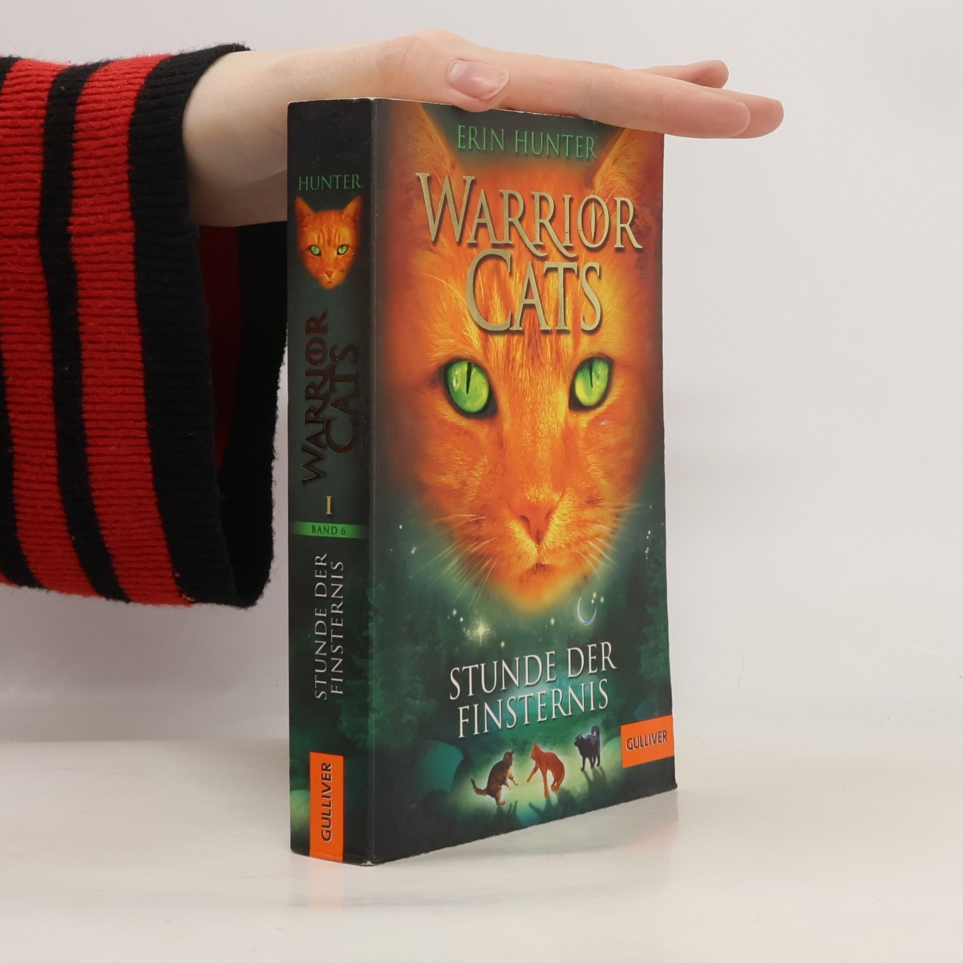 Erin Hunter Stunde der Finsternis