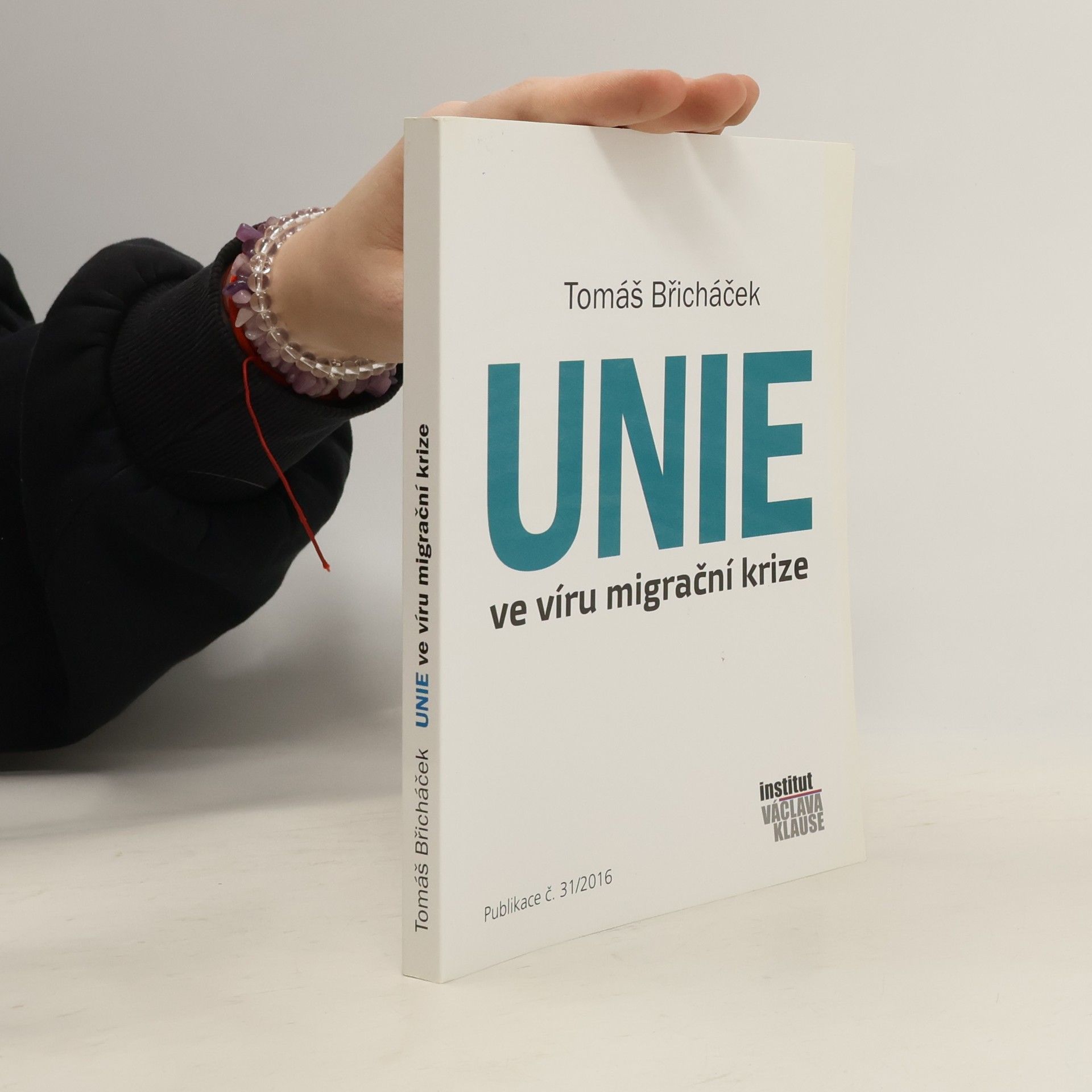 Tomáš Břicháček Unie ve víru migrační krize