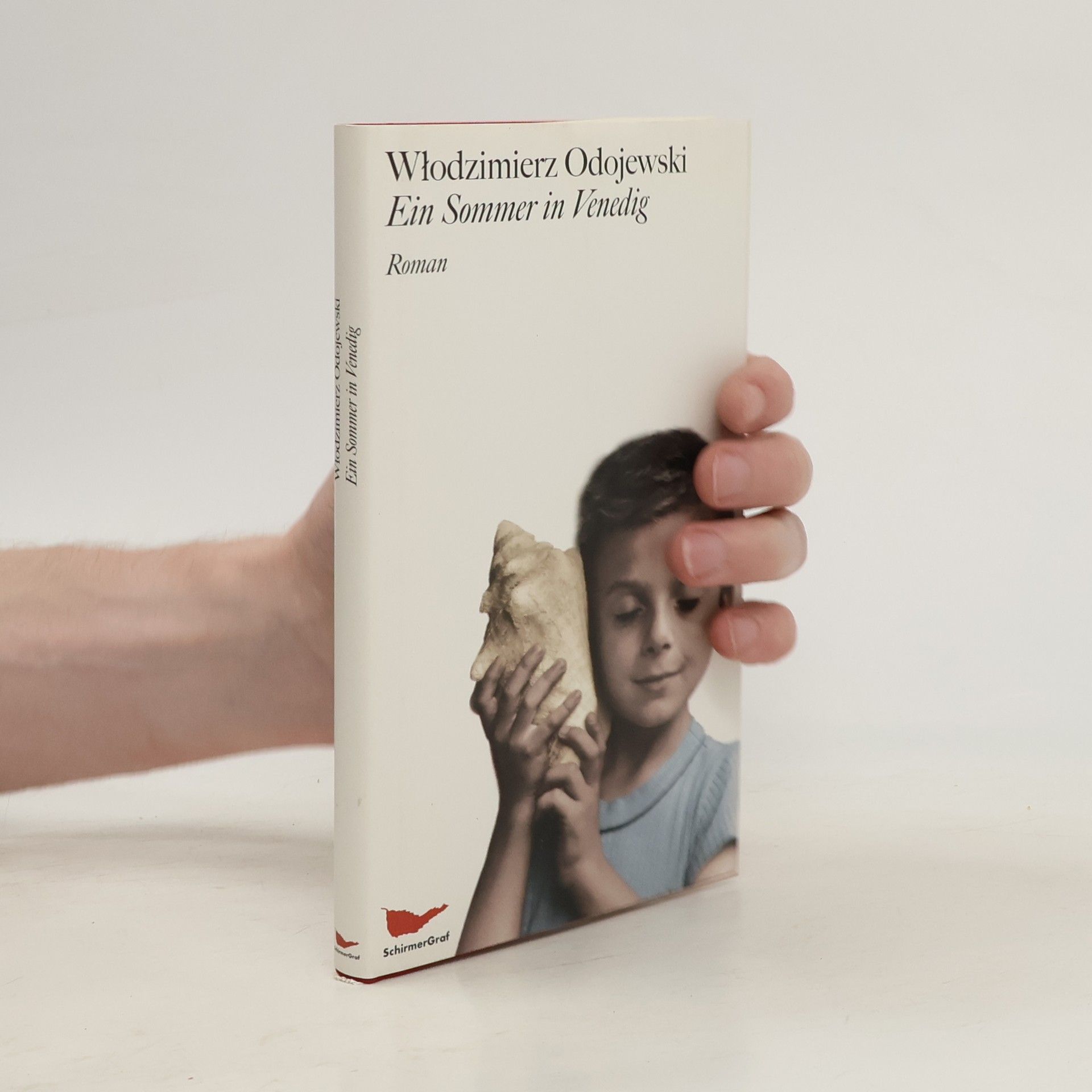 Włodzimierz Odojewski Ein Sommer in Venedig