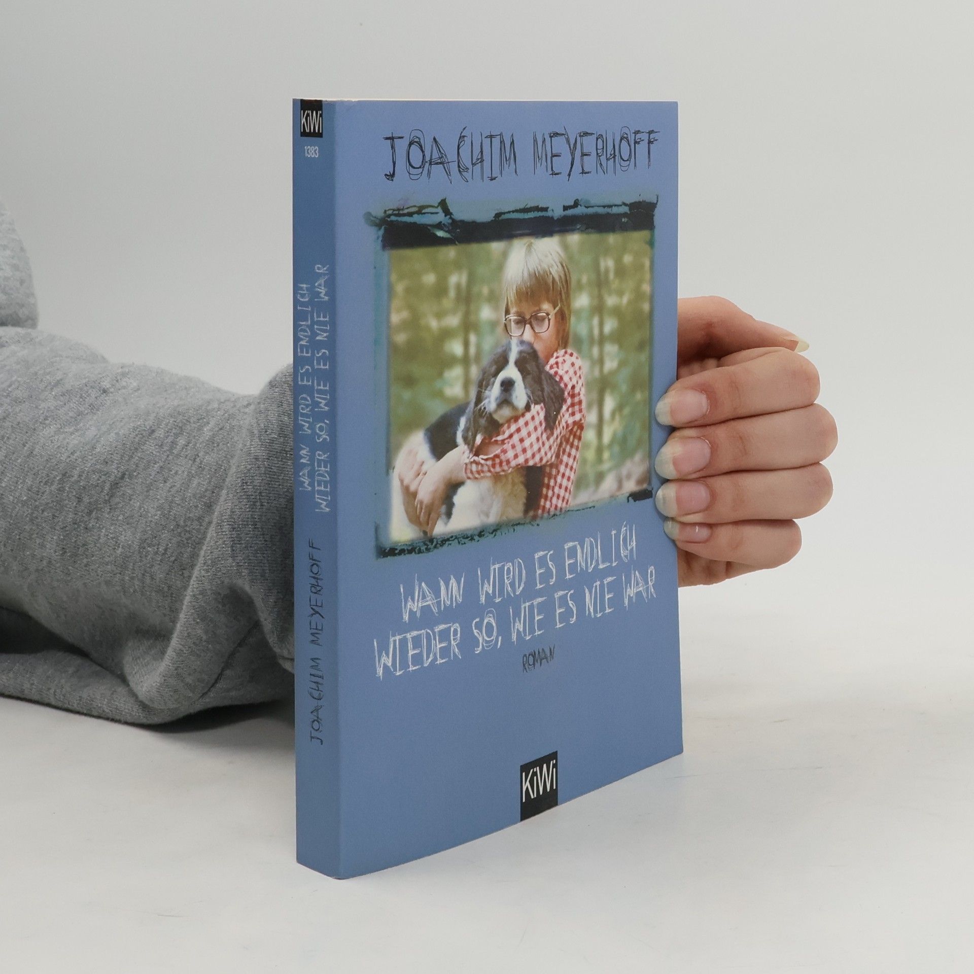 Joachim Meyerhoff Wann wird es endlich wieder so, wie es nie war