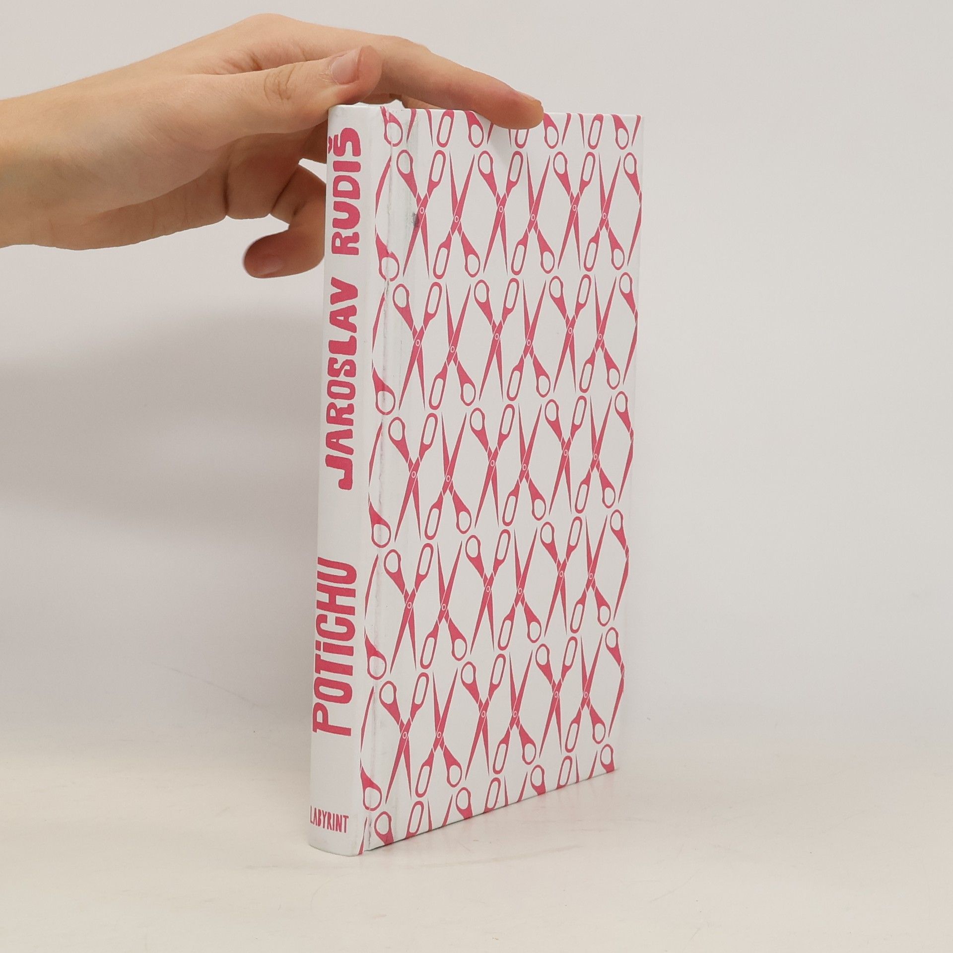 Jaroslav Rudiš Potichu