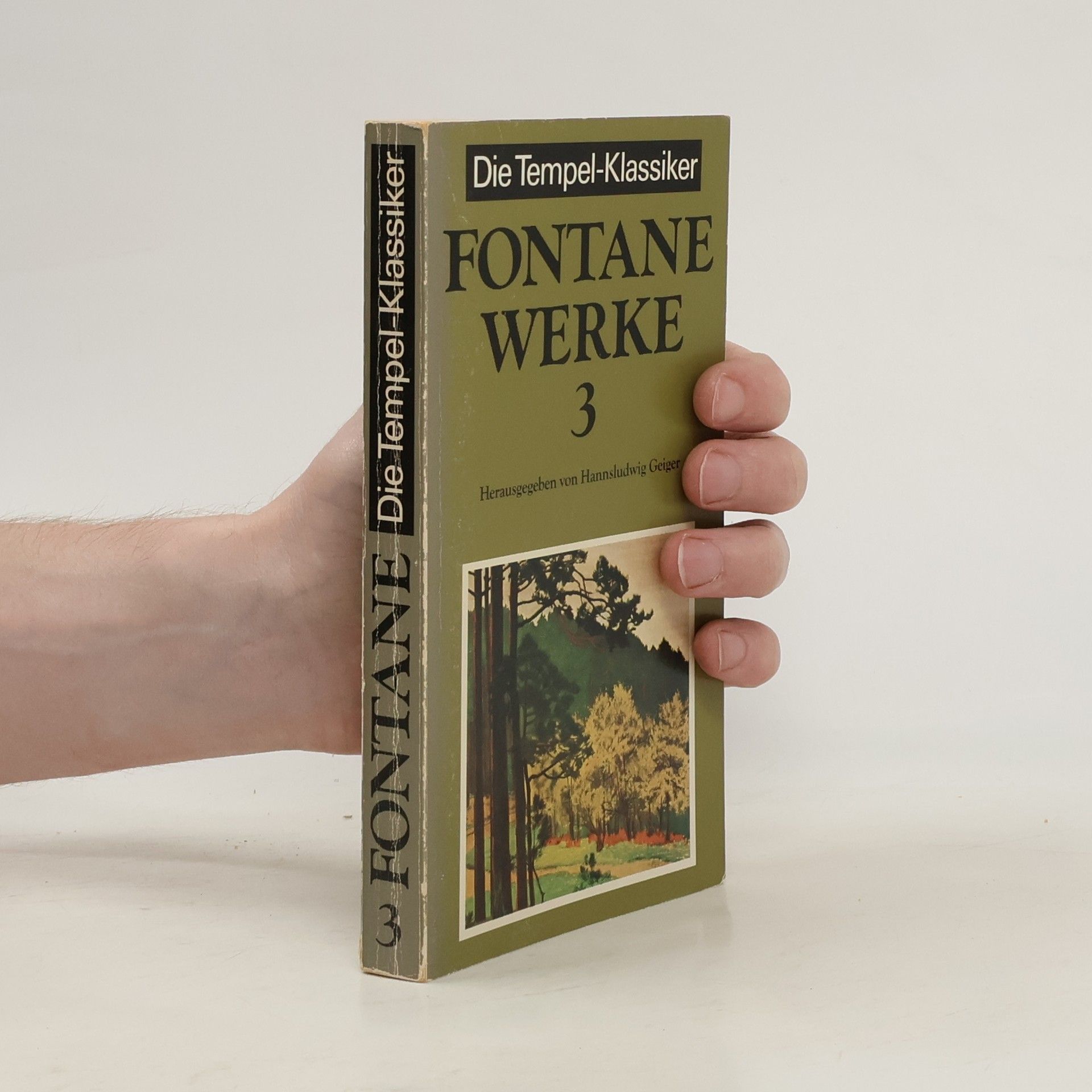 Theodor Fontane Werke 3