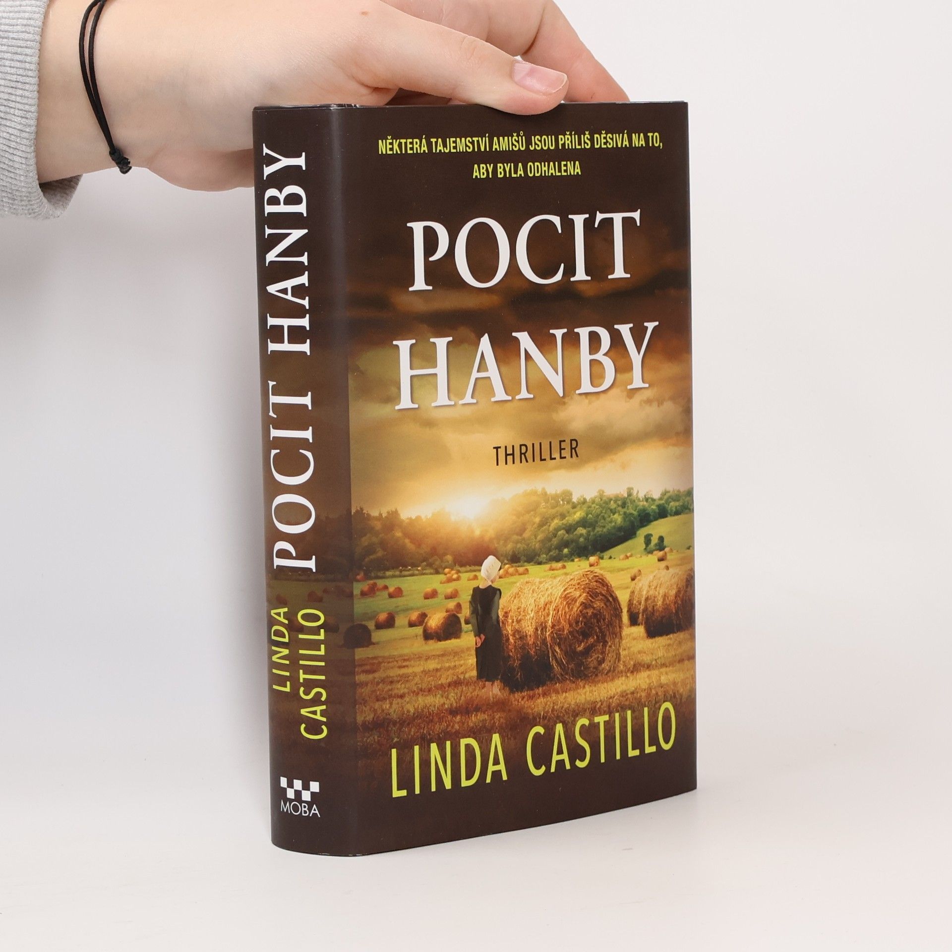 Linda Castillo Pocit hanby
