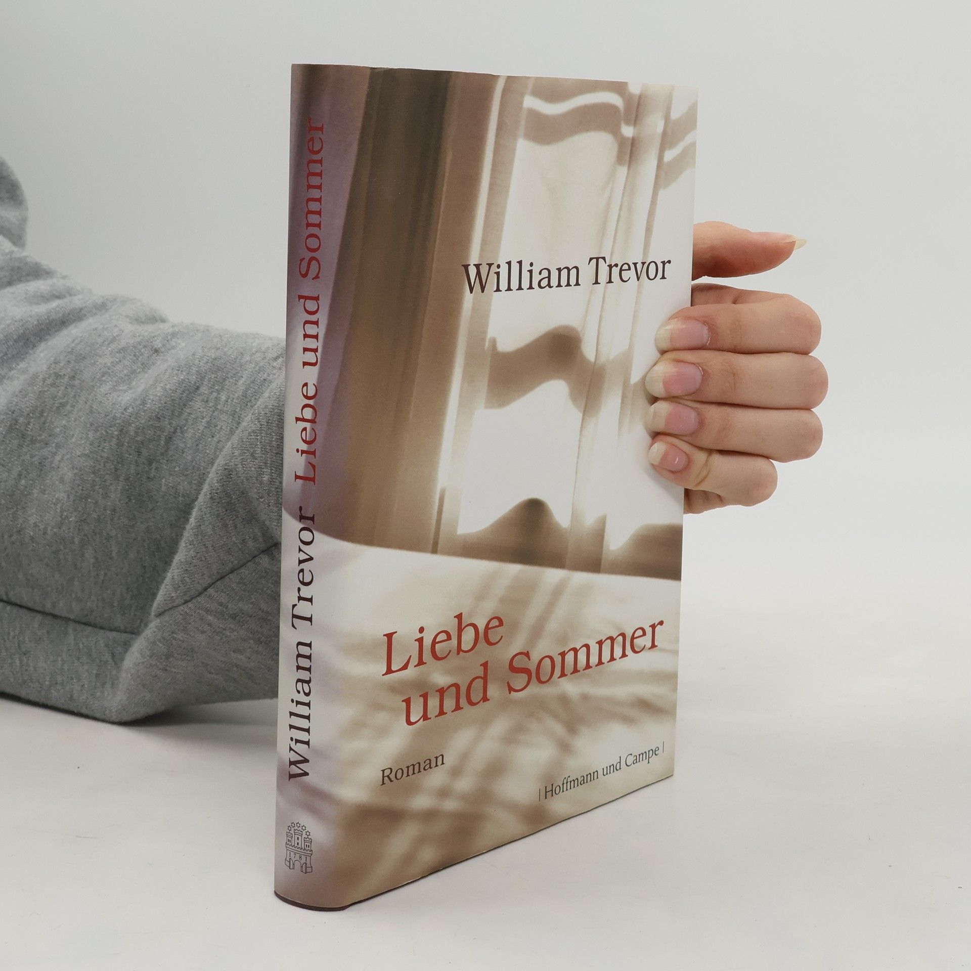 William Trevor Liebe und Sommer