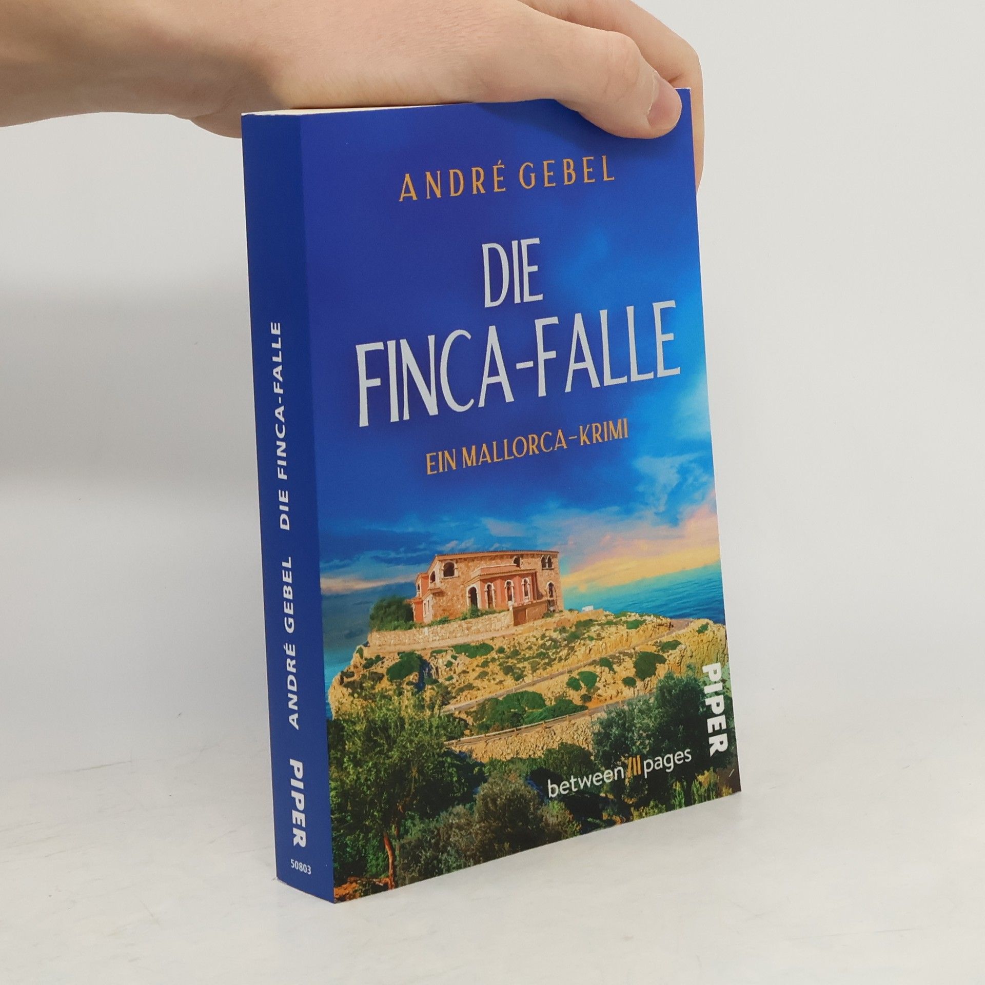 André Gebel Die Finca-Falle